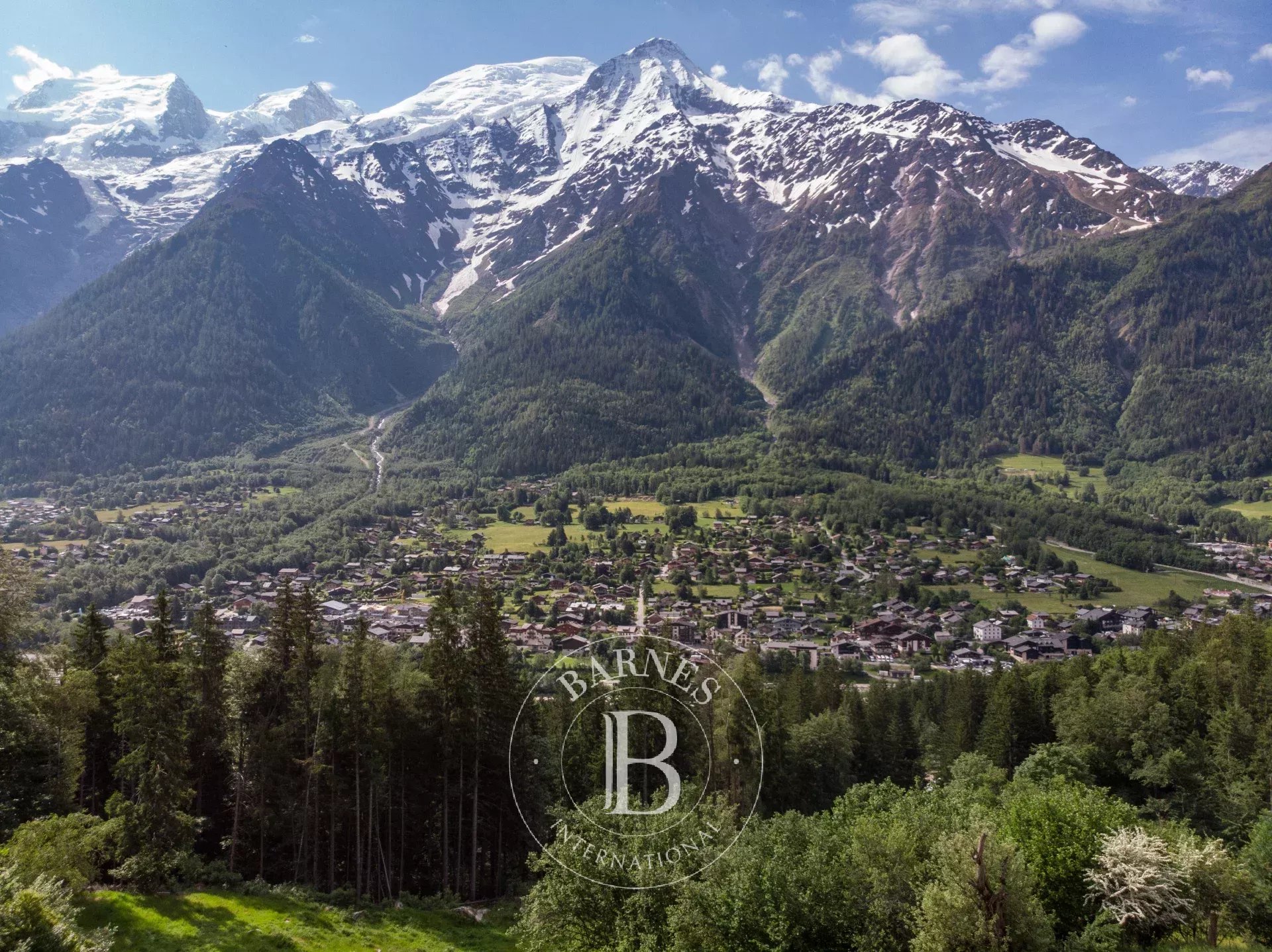 Arazi Les Houches - picture 4