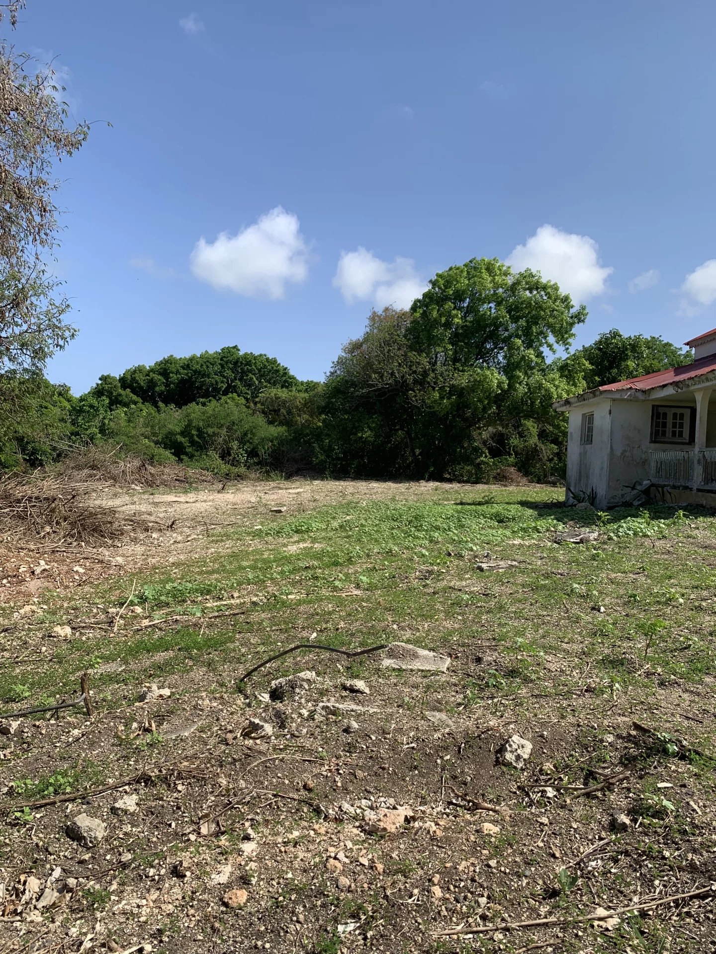 Vente Terrain constructible Saint-François