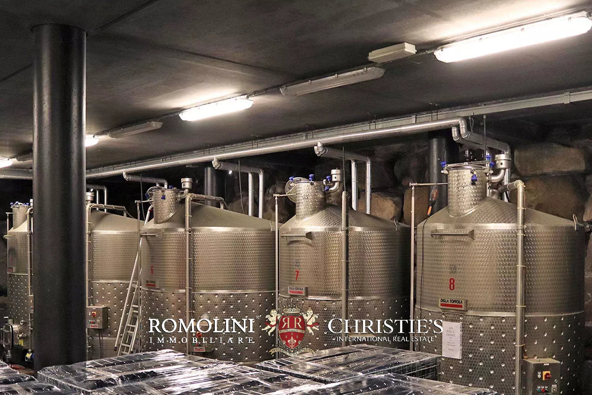 TENUTA VINICOLA BIOLOGICA IN VENDITA, CANTINA BIO TOSCANA