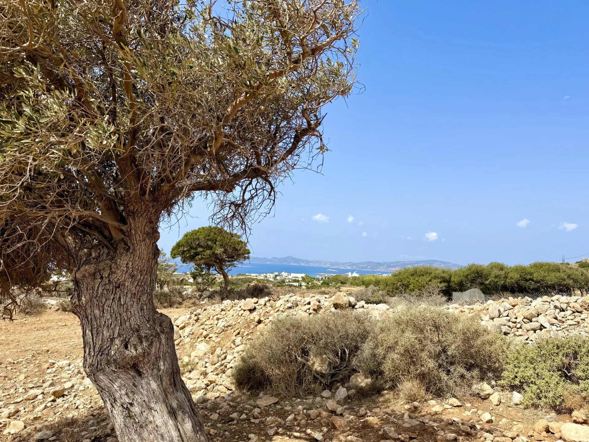 Image de la propriété 7