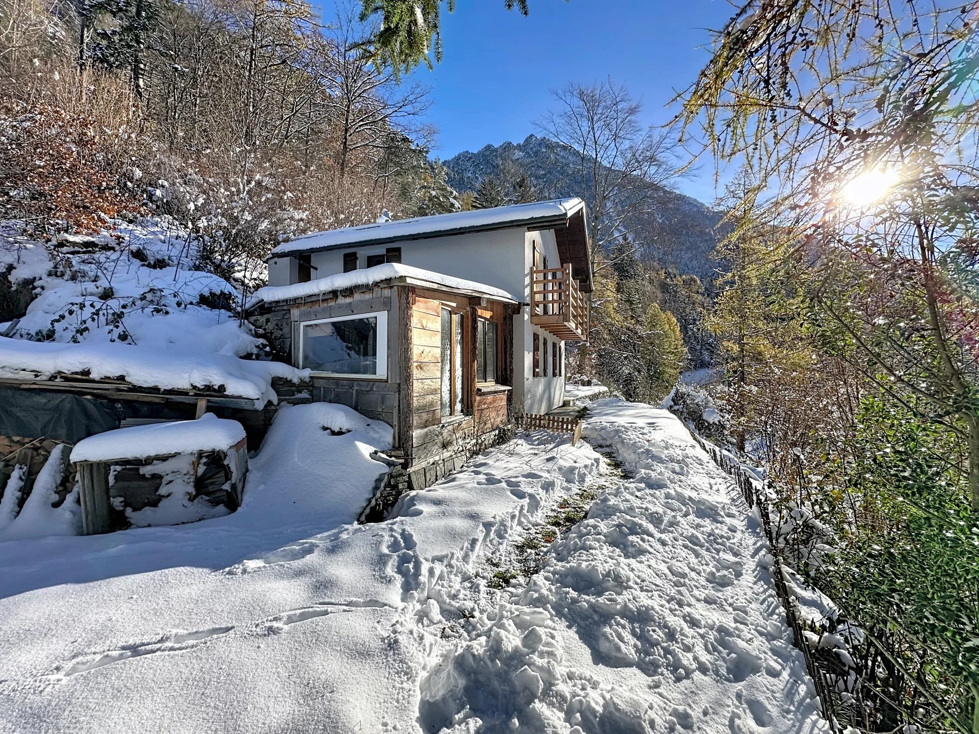 Vue panoramique sur le Mont-Blanc et la Cime de l'Est