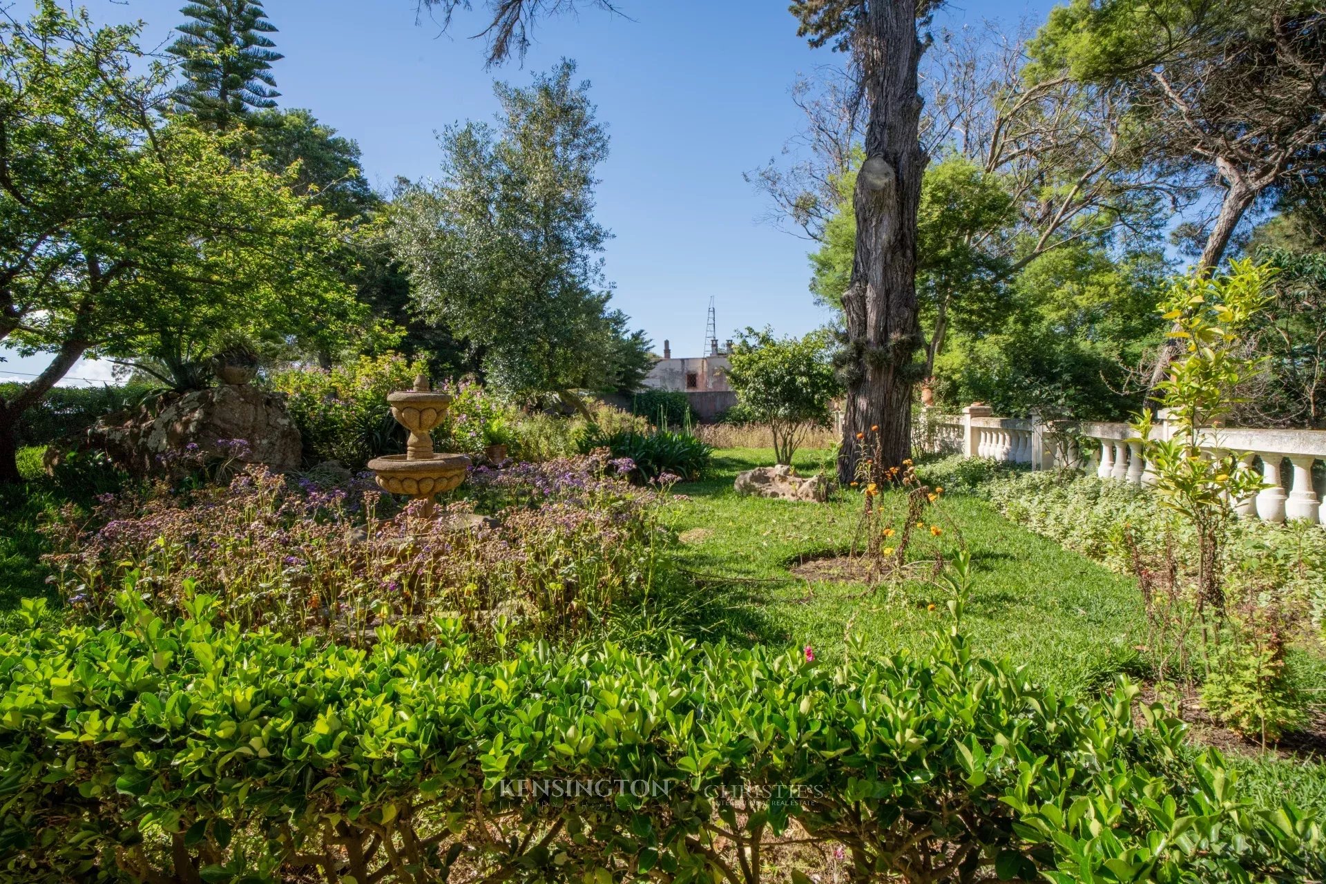 4 Bedroom Villa/Townhouse's Image 21