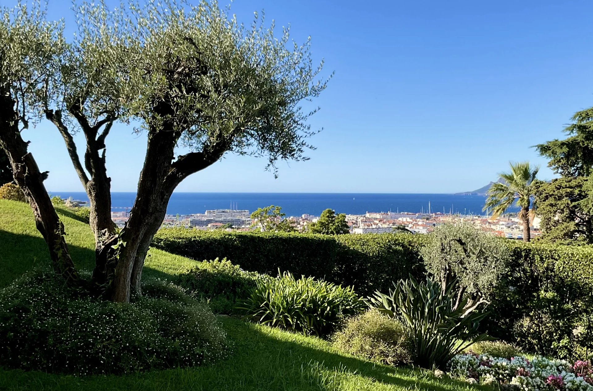 Sale Apartment Cannes Oxford