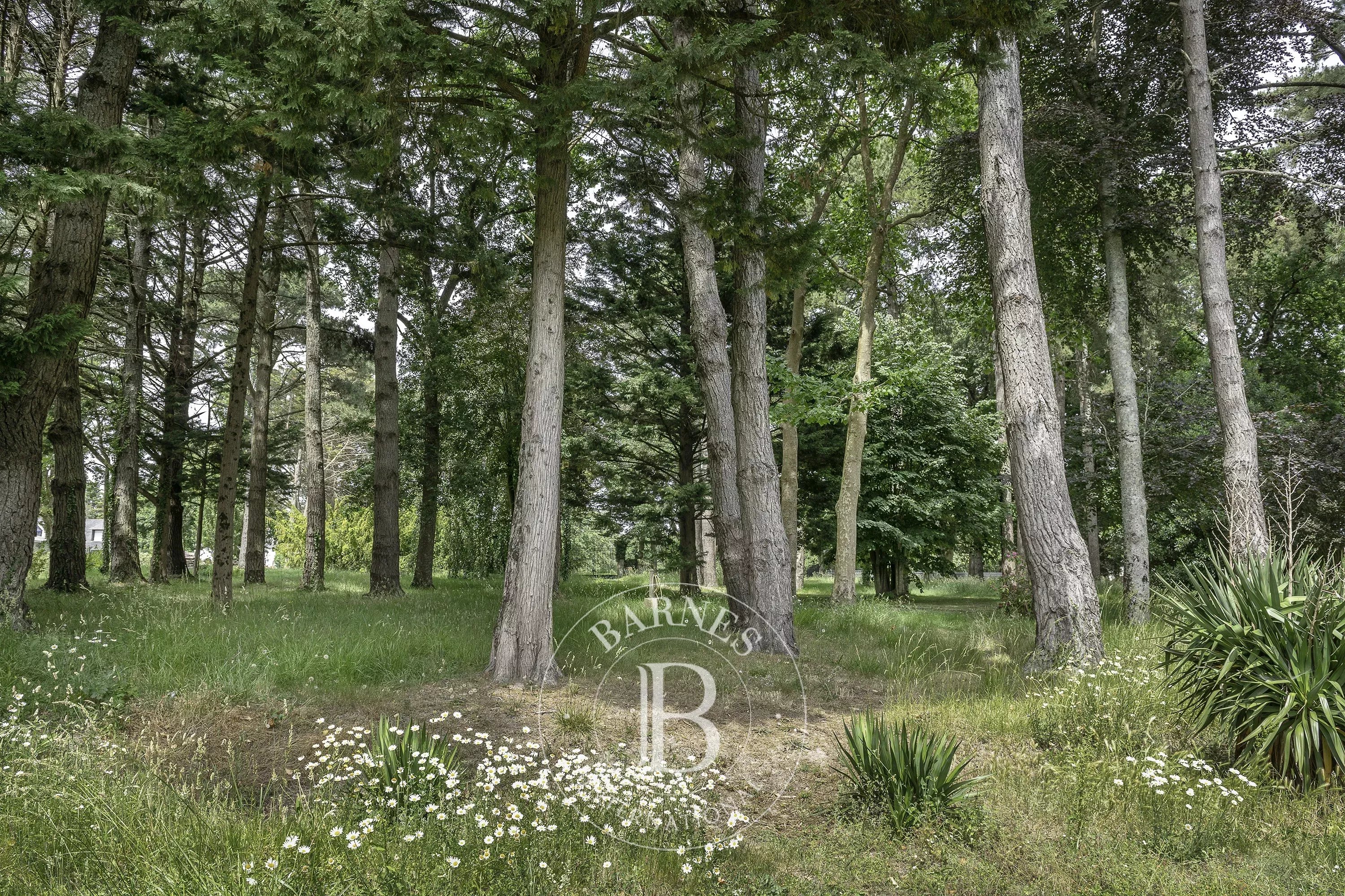 Pénestin  - Maison 10 Pi&egrave;ces 5 Chambres - picture 17