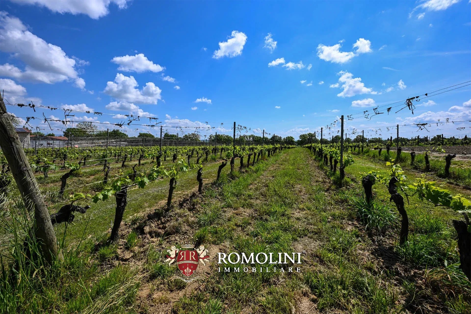 34 Bedroom Vineyard's Image 31