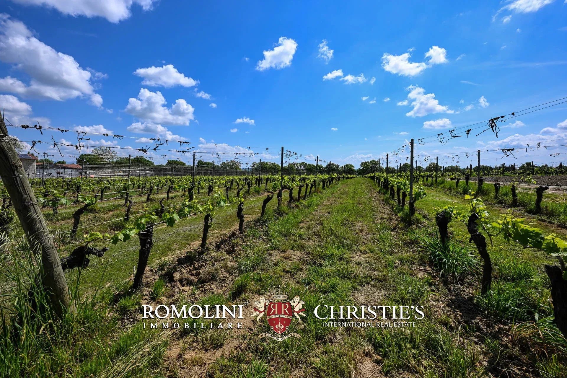34 Bedroom Vineyard's Image 31