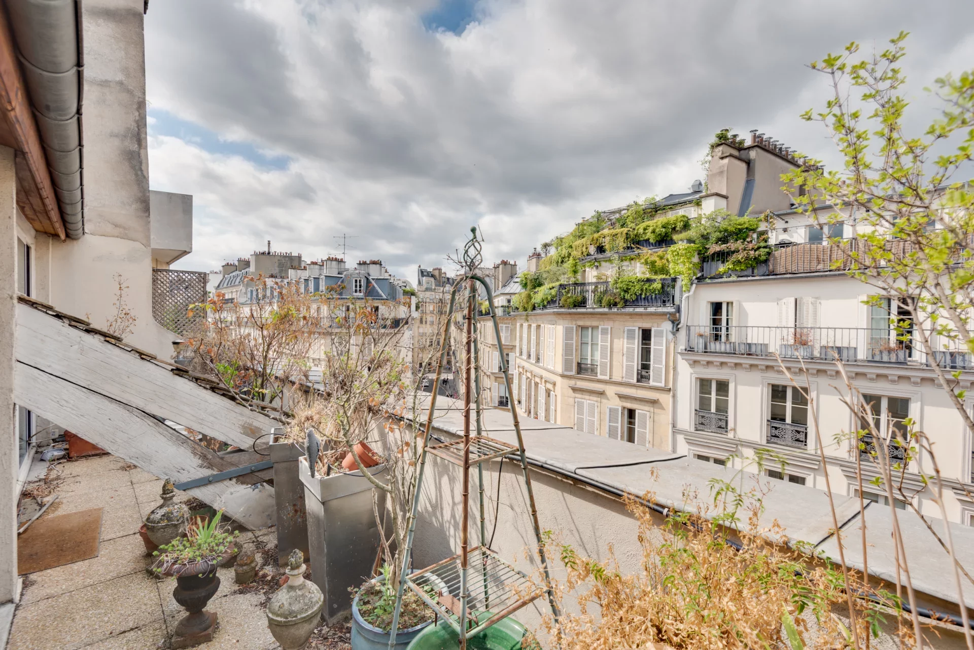 Paris 6e - ASSAS / LUXEMBOURG