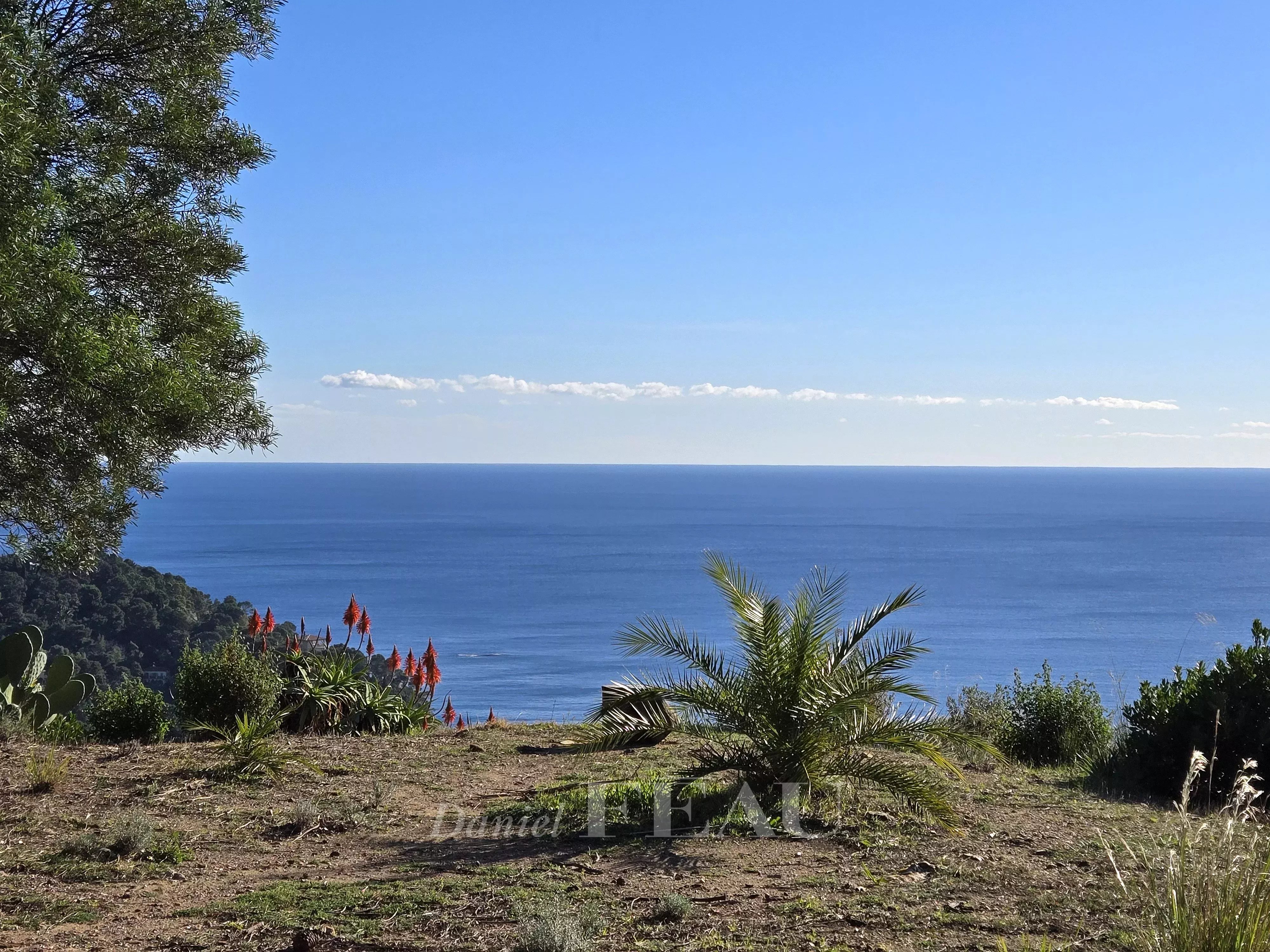 Rayol-Canadel-sur-Mer  -  A superb villa