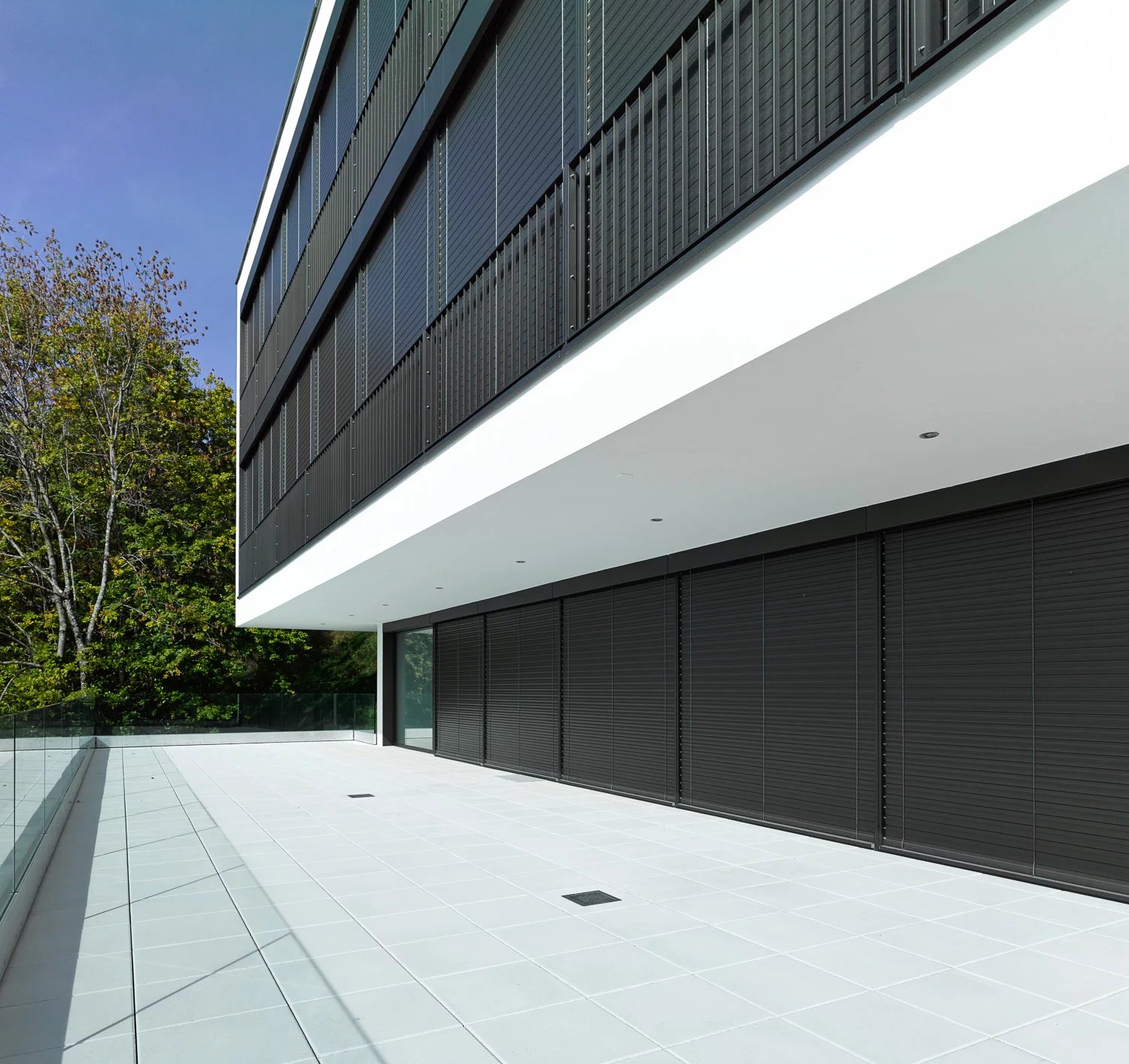 Elitim territet