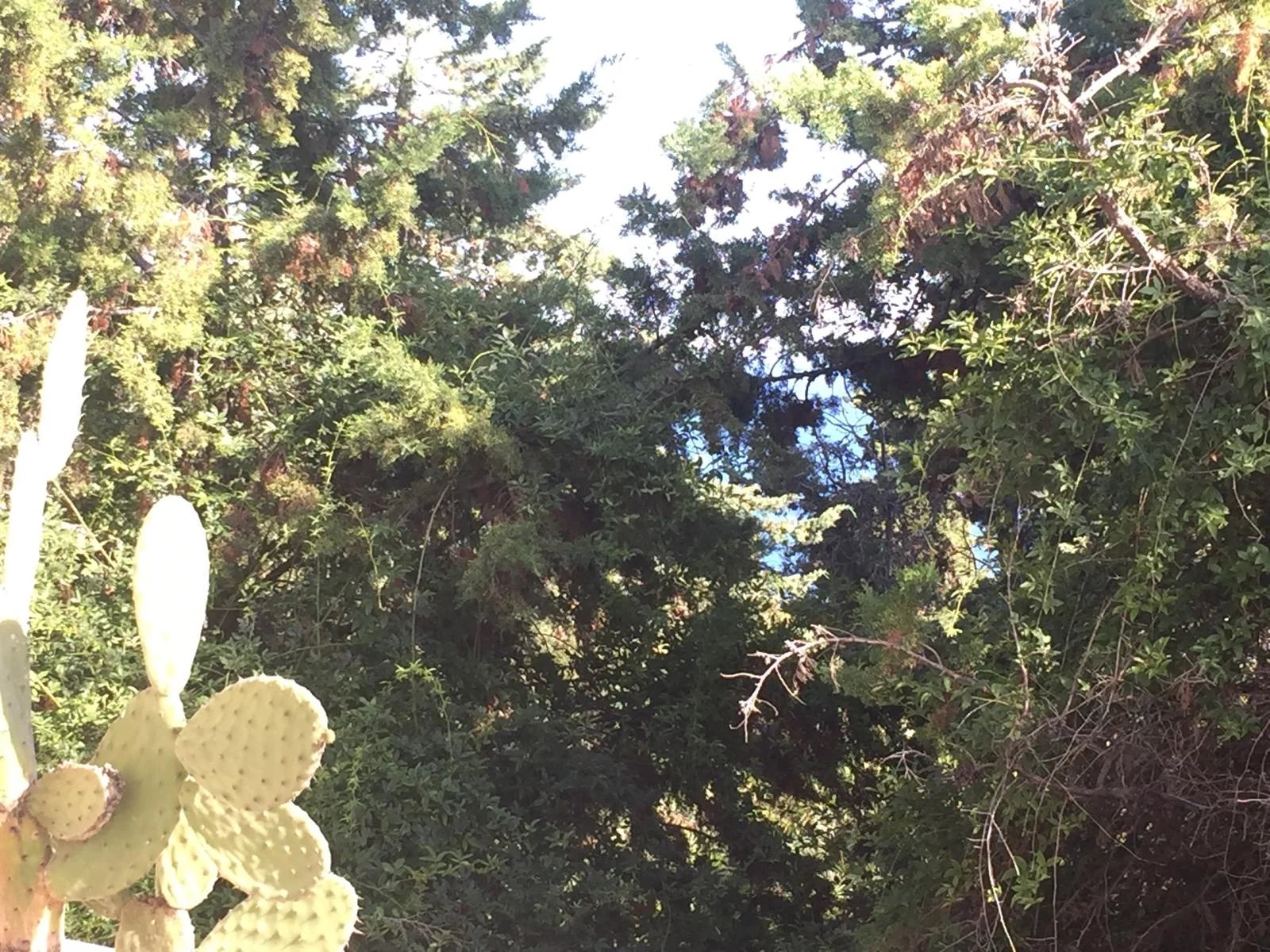 Vendita Villa - Ospedaletti Circuito - Italia