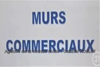 professionnel murs local professionnel