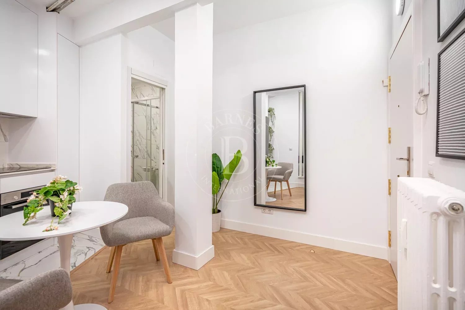 Daire Madrid - picture 5