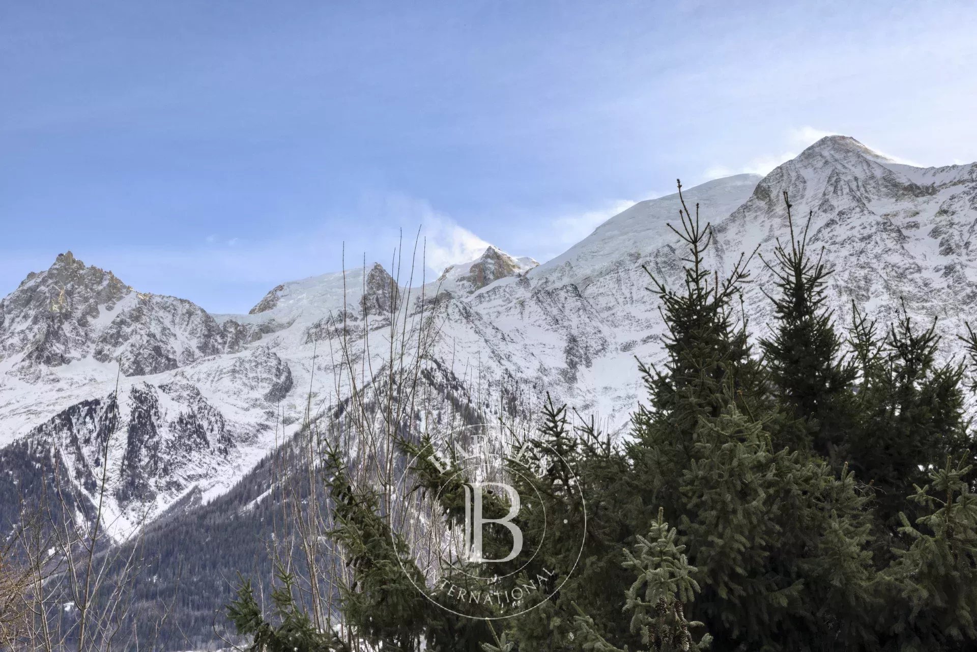 Chalet Les Houches  -  ref 86344049 (picture 2)