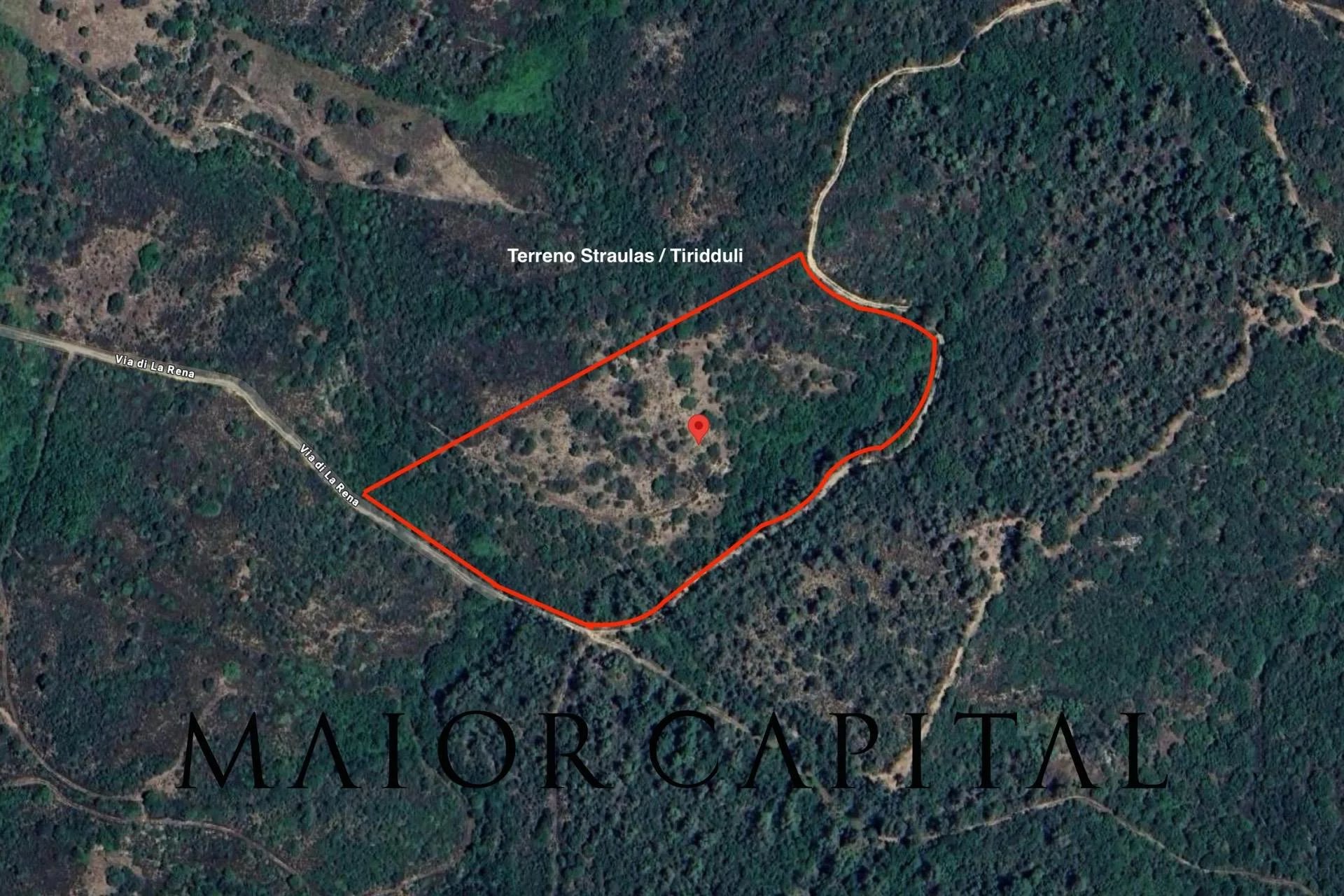 San Teodoro | Terreno agricolo con vista sulle colline