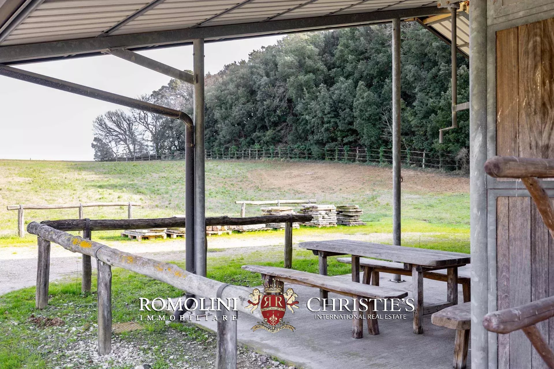 EQUESTRIAN SEA VIEW WINE ESTATE WITH VINEYARDS FOR SALE CLOSE TO BOLGHERI, TUSCANY