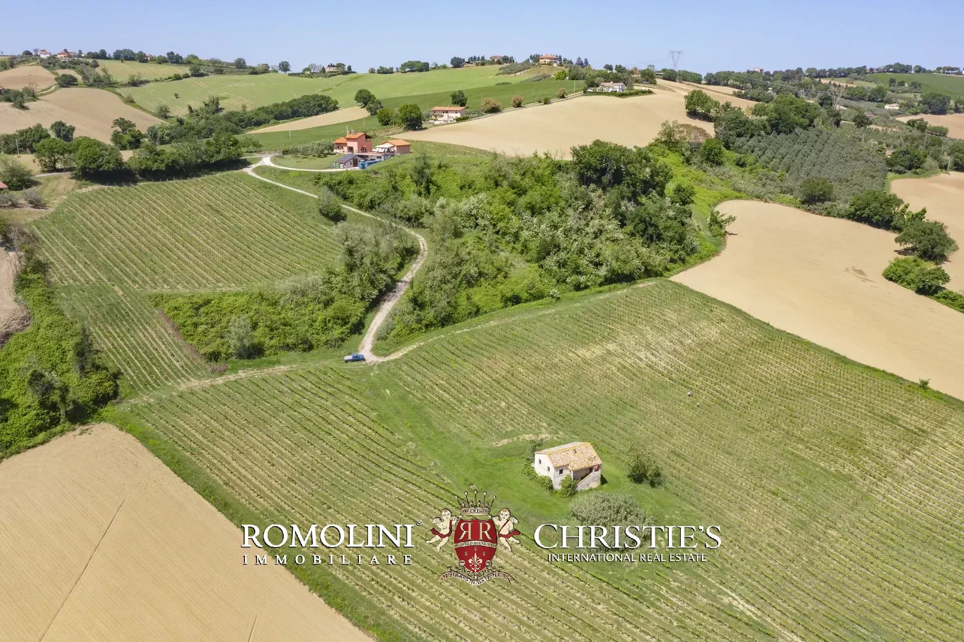 5 Bedroom Vineyard's Image 3