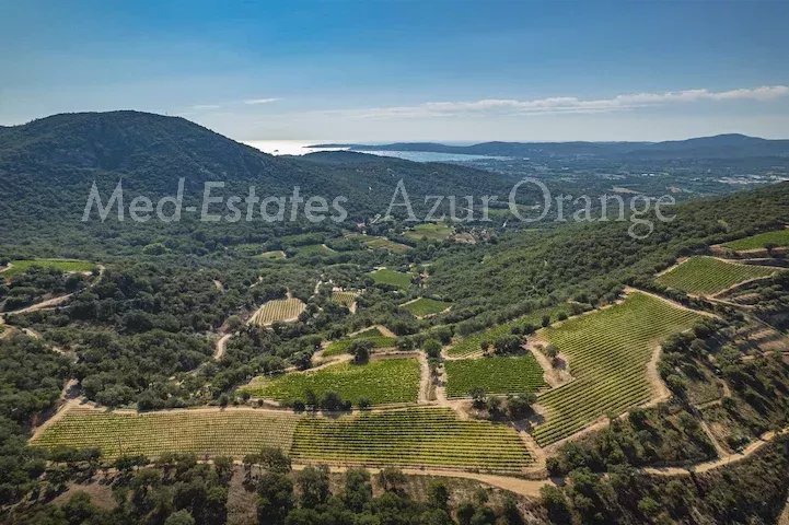 Agence immobilière de Med-Estates Saint Tropez