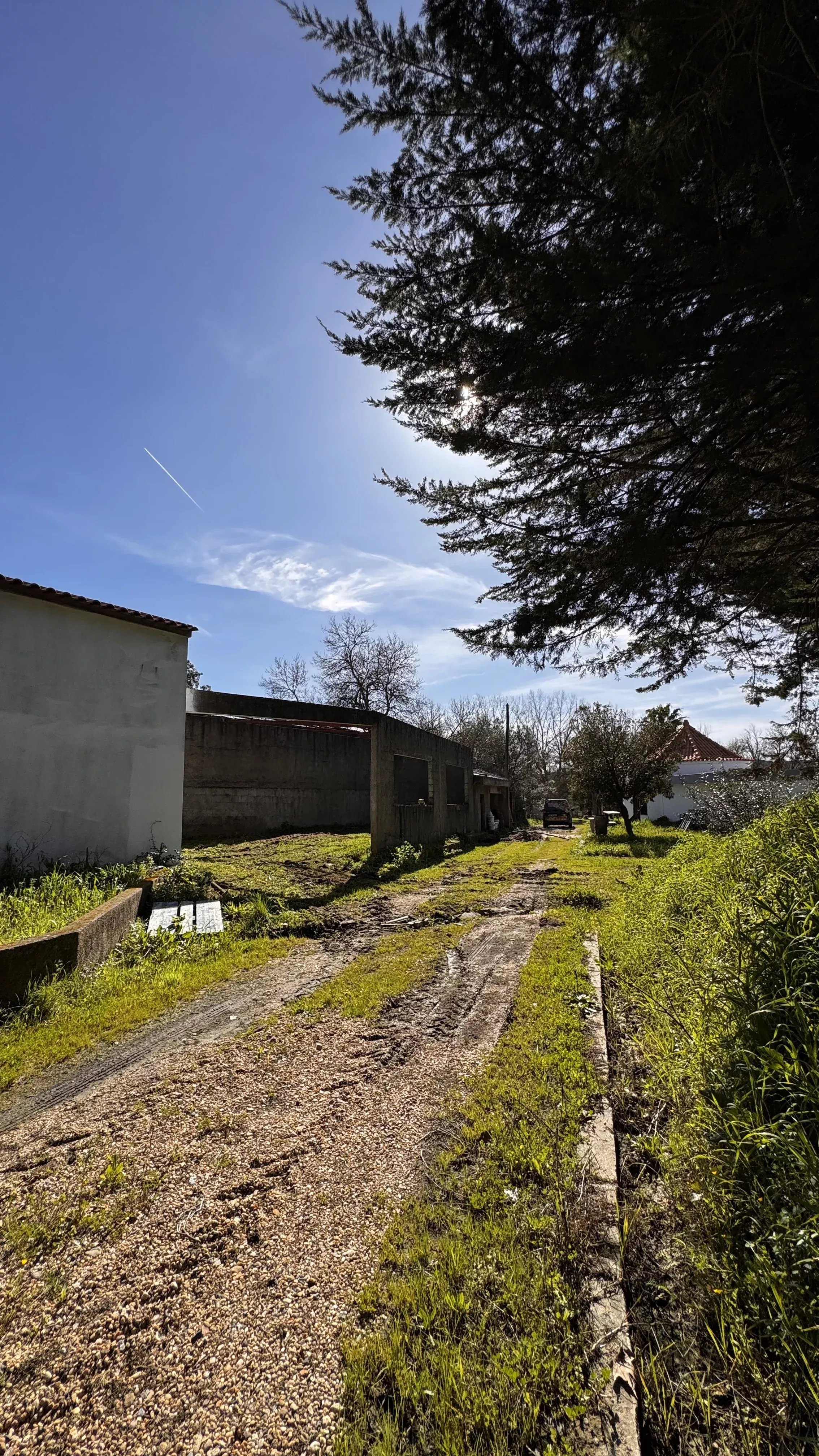 Estate in Arraiolos, Évora 86141659 image 42