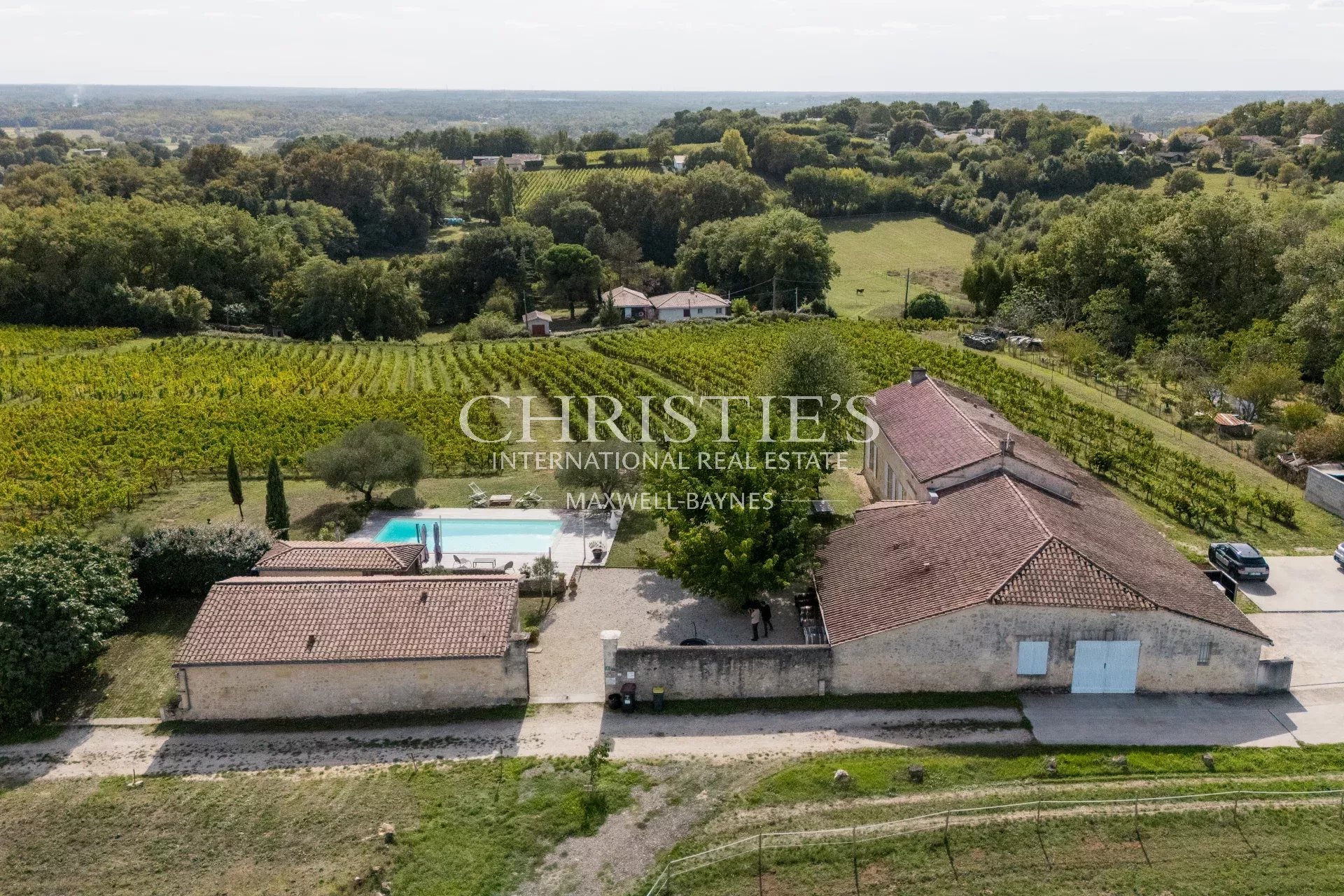 Vineyard's Image 19