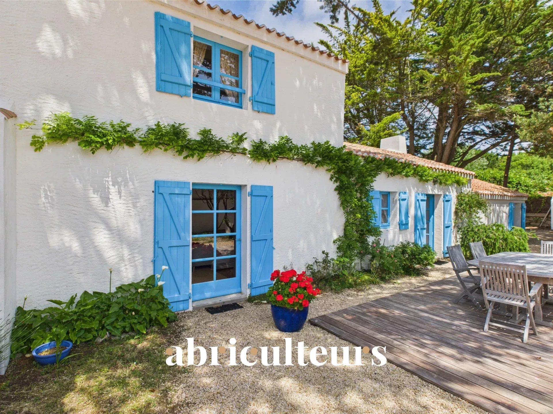 Agence immobilière de LES ABRICULTEURS