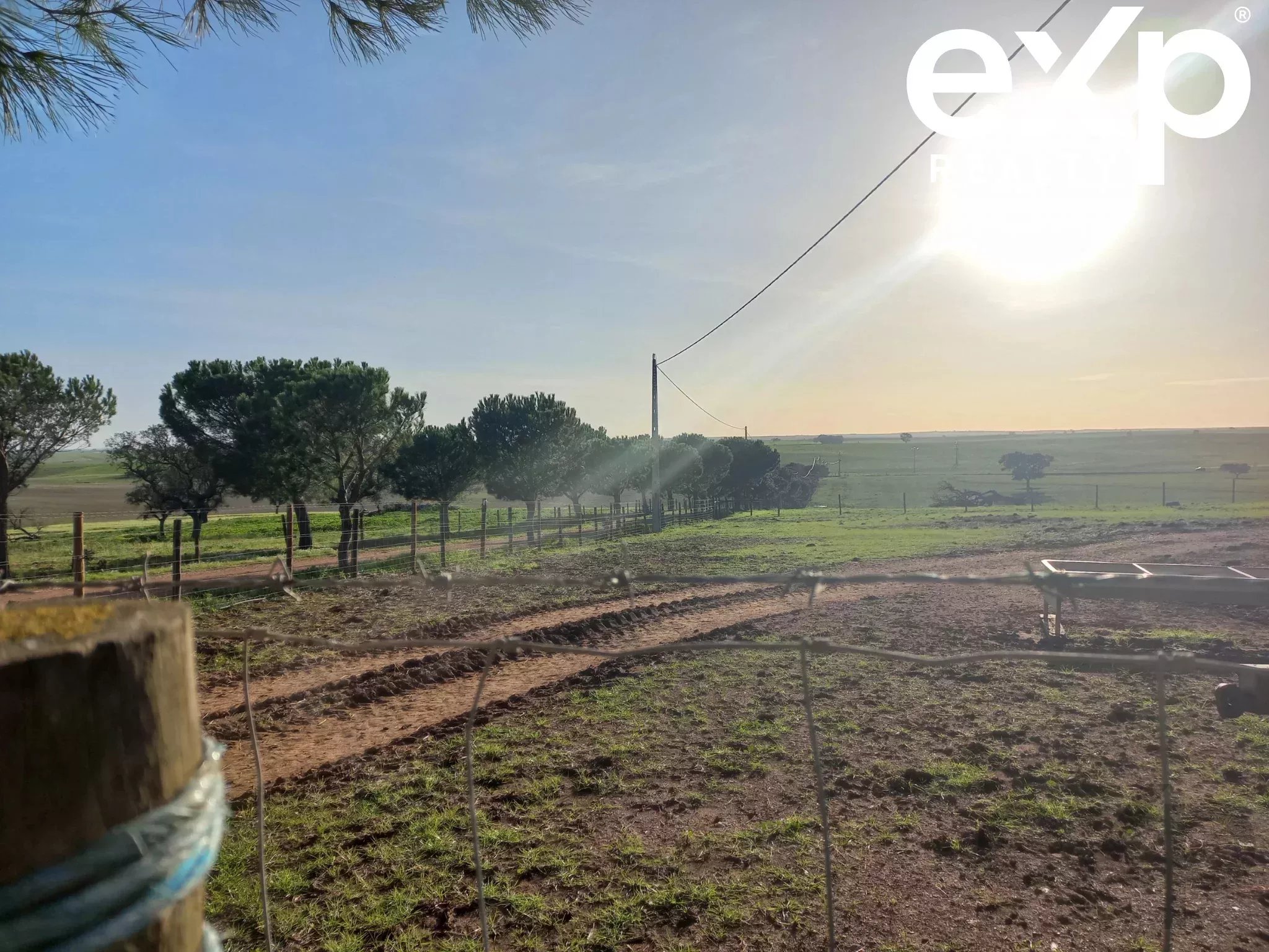 Herdade para Gado -Baixo Alentejo (Insurance for investors, funds and ICNF) 86742404 image 14