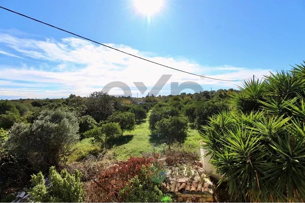 Charming Countryside Gem Near Fuseta 85948757 image 19