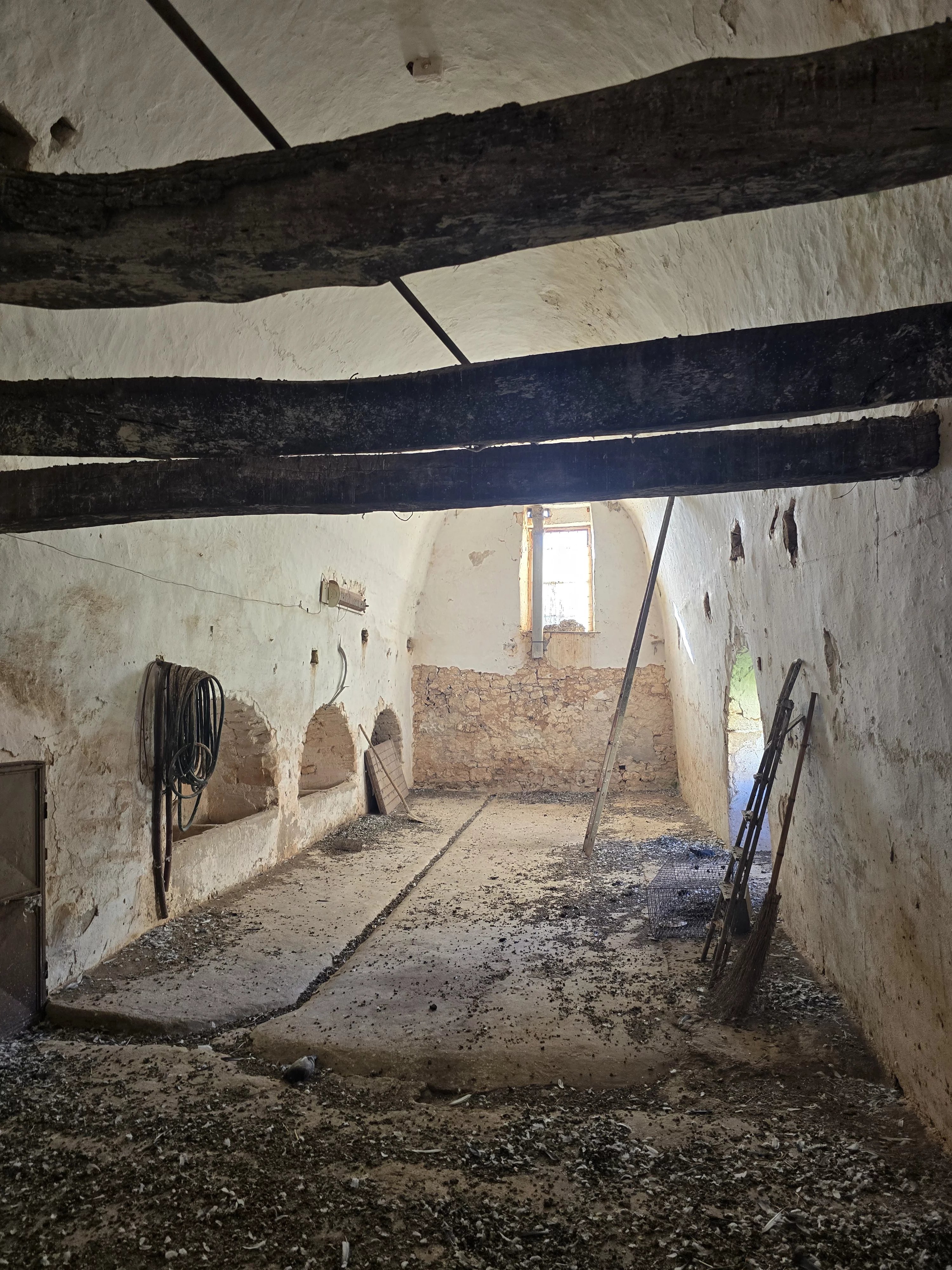 Venta Granja Ceglie Messapica