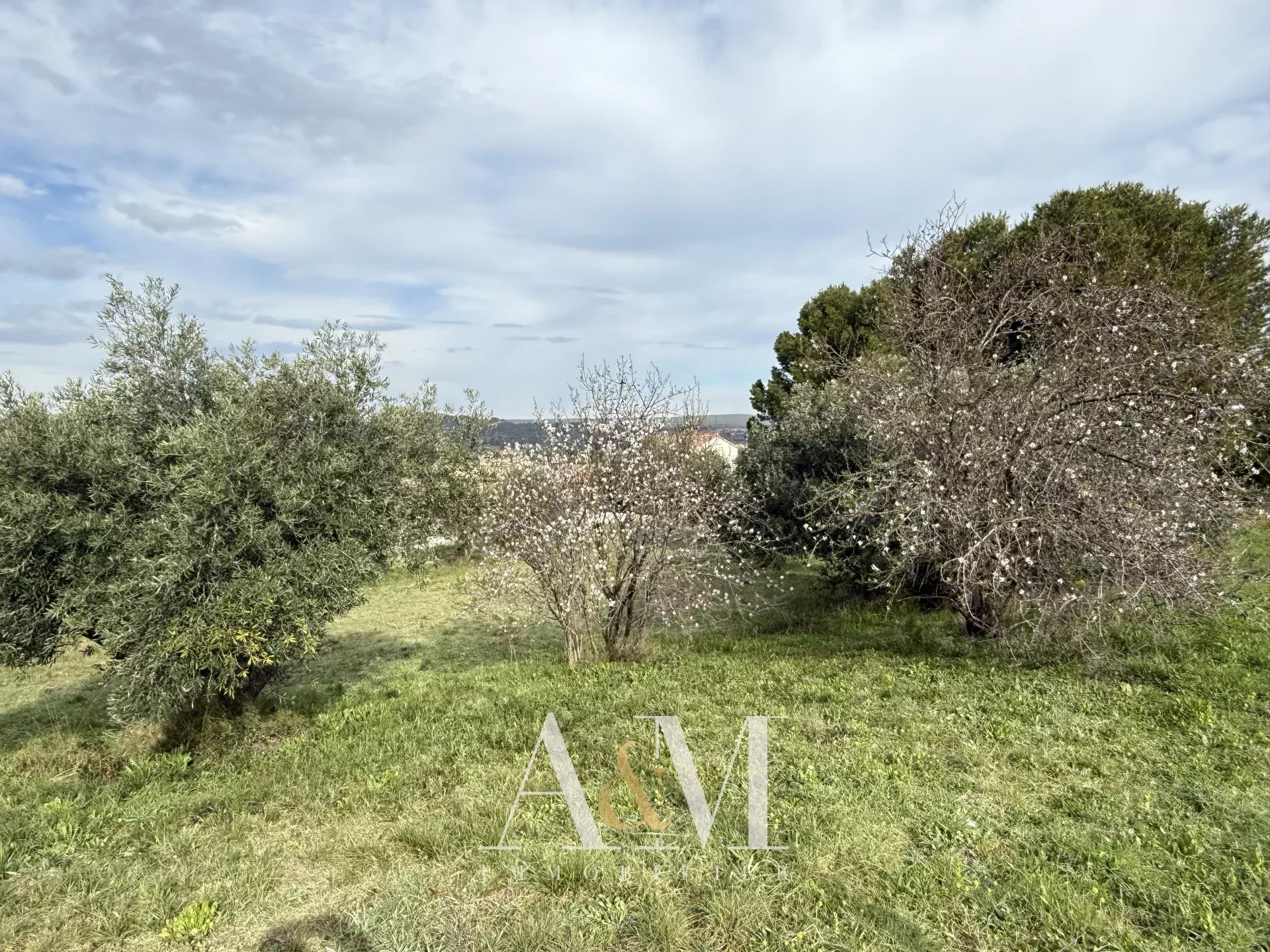 Parking à vendre, 1058 m², Villeveyrac