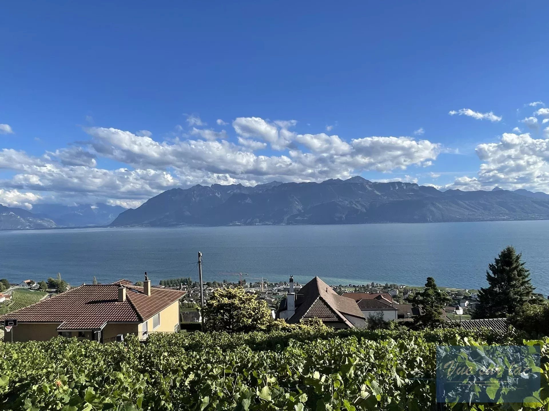 RARE: Terrain panoramique à bâtir au coeur du Lavaux, proche de tout!