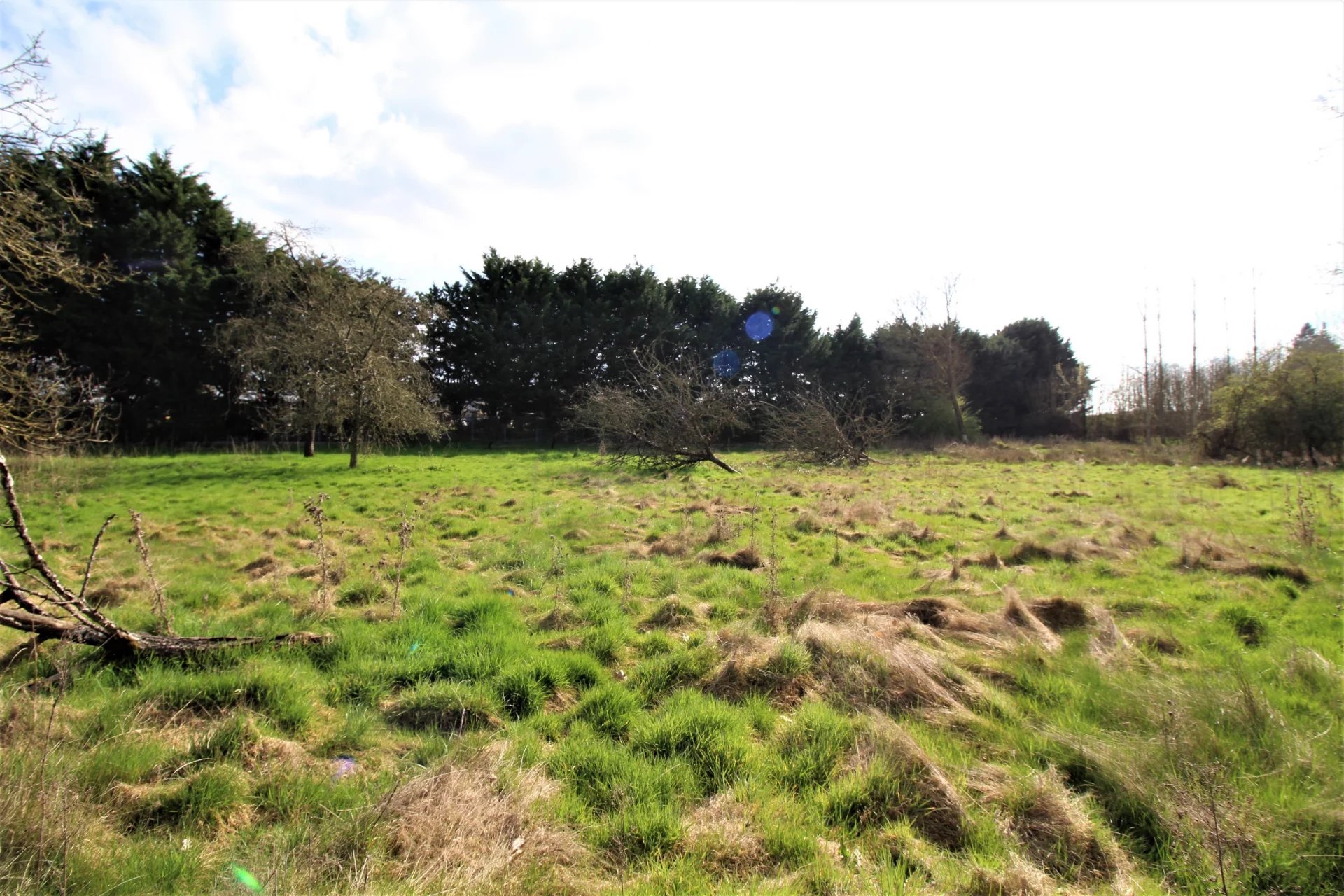 Vente Terrain Cerizay
