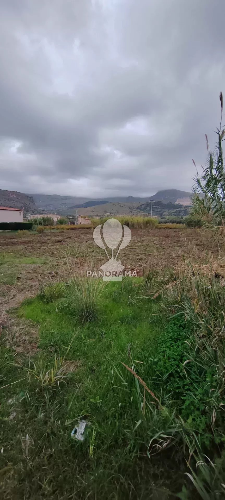 Vendita Terreno agricolo Partinico