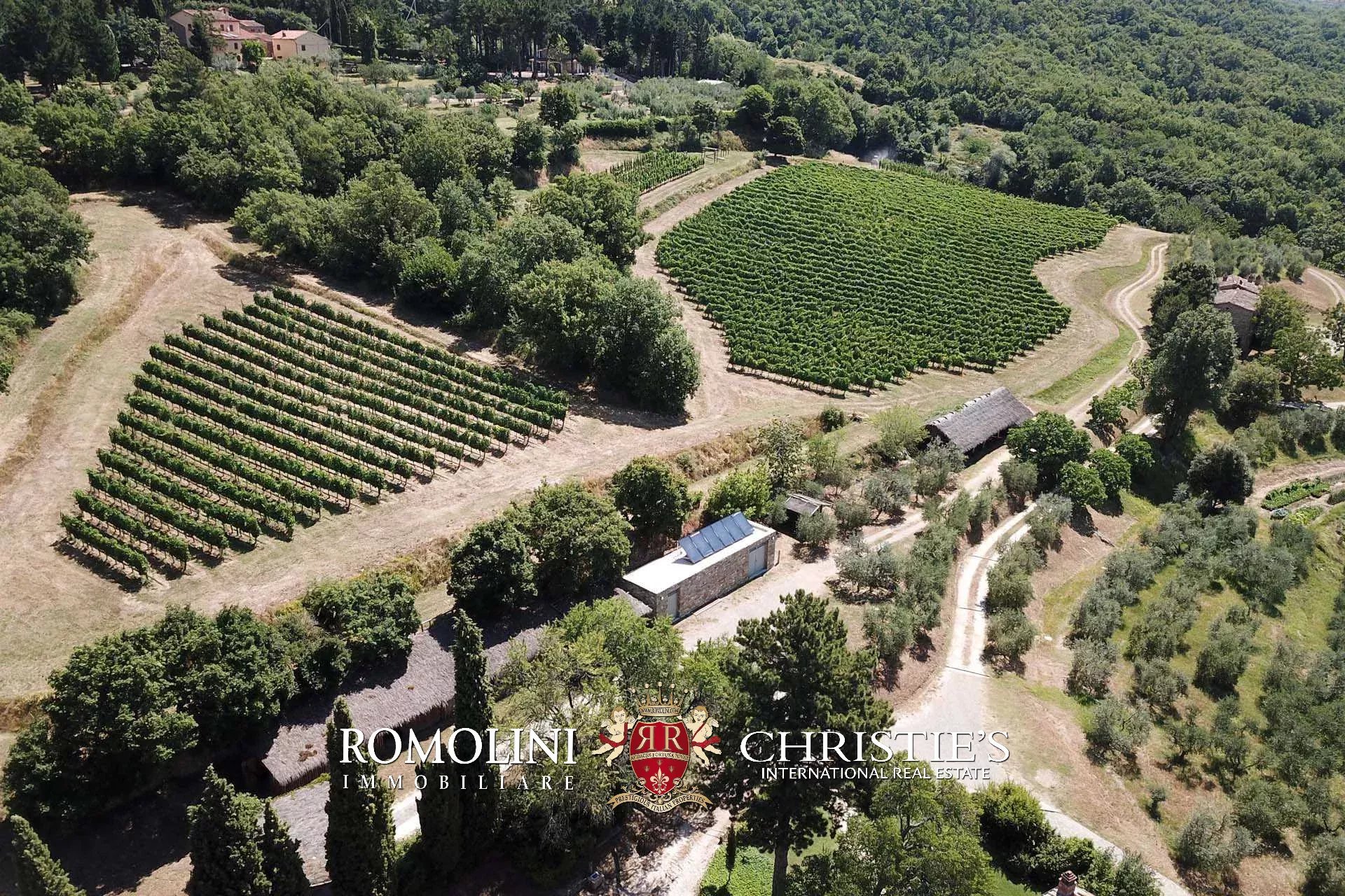 16 Bedroom Vineyard's Image 34