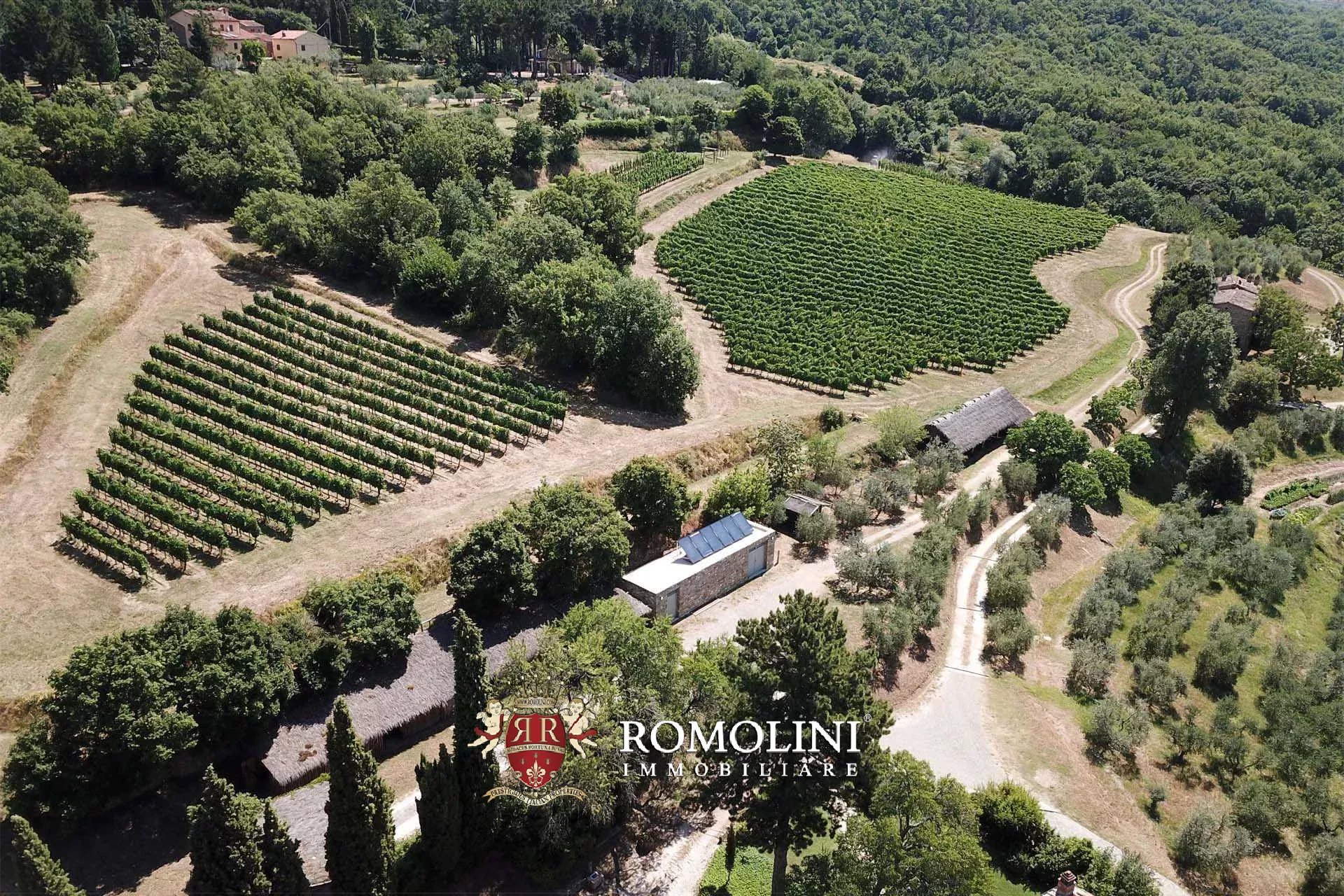 16 Bedroom Vineyard's Image 34
