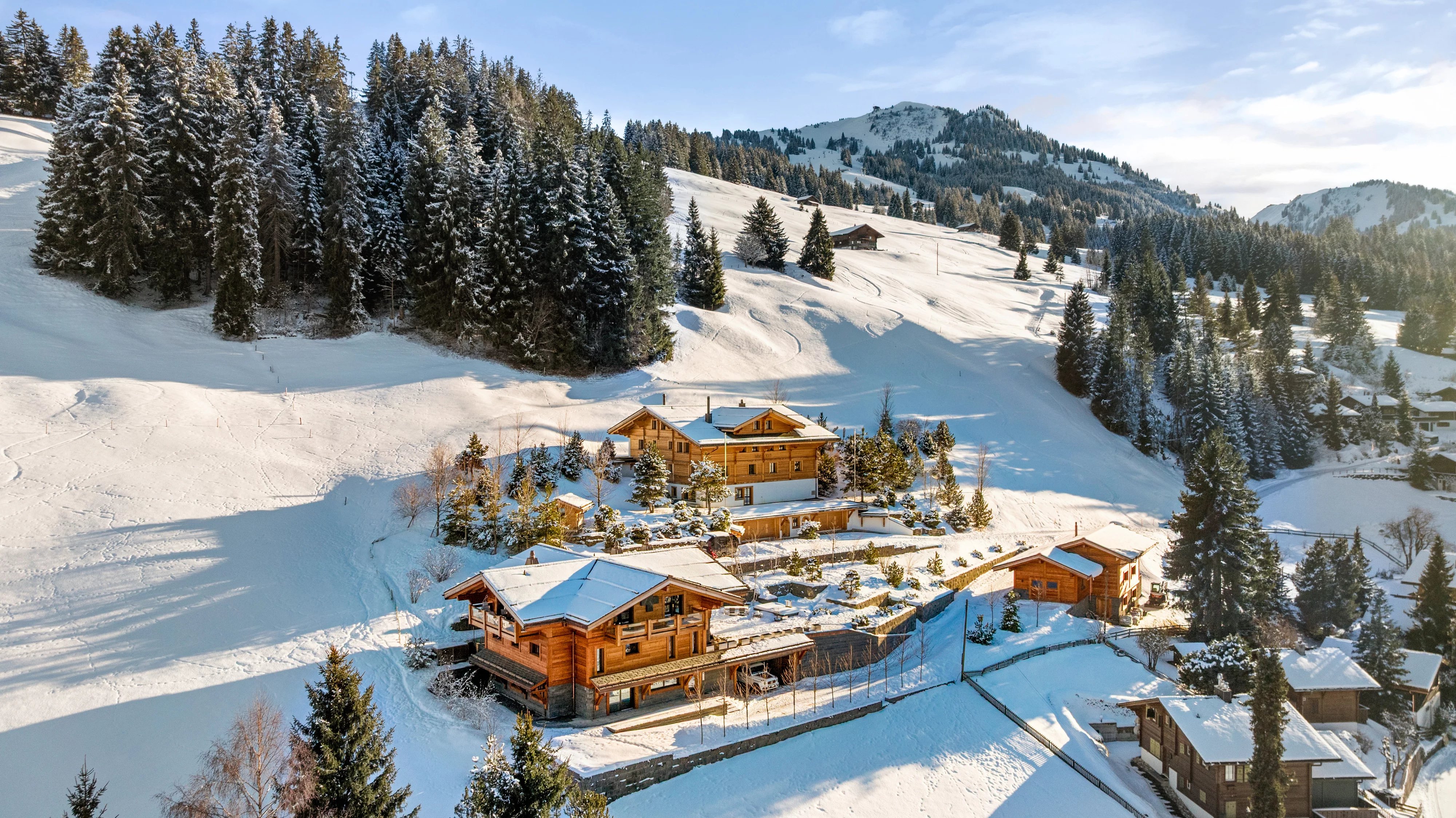 Exceptional alpine property