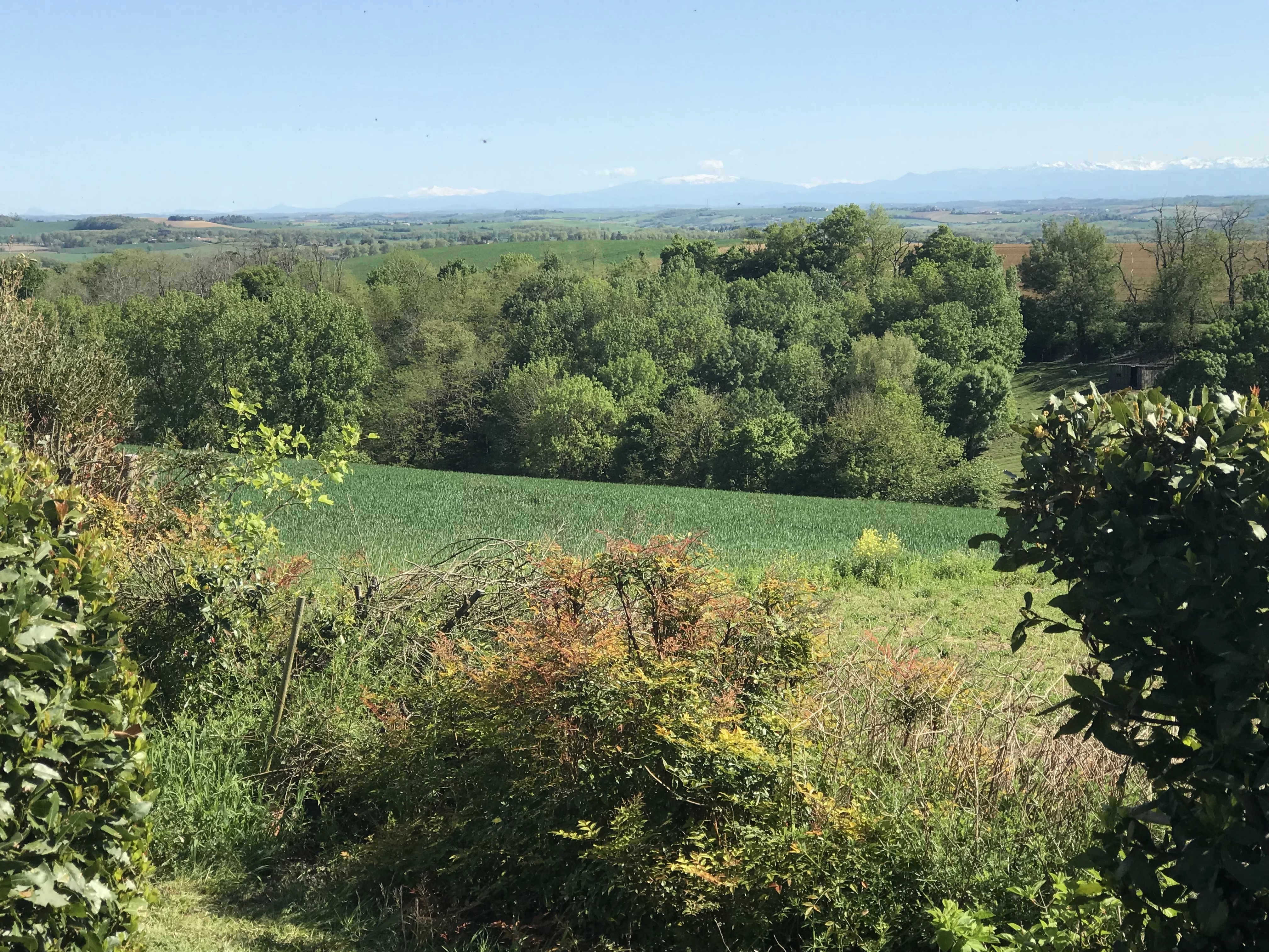 Propriété à vendre Villefranche-de-Lauragais, Haute-Garonne