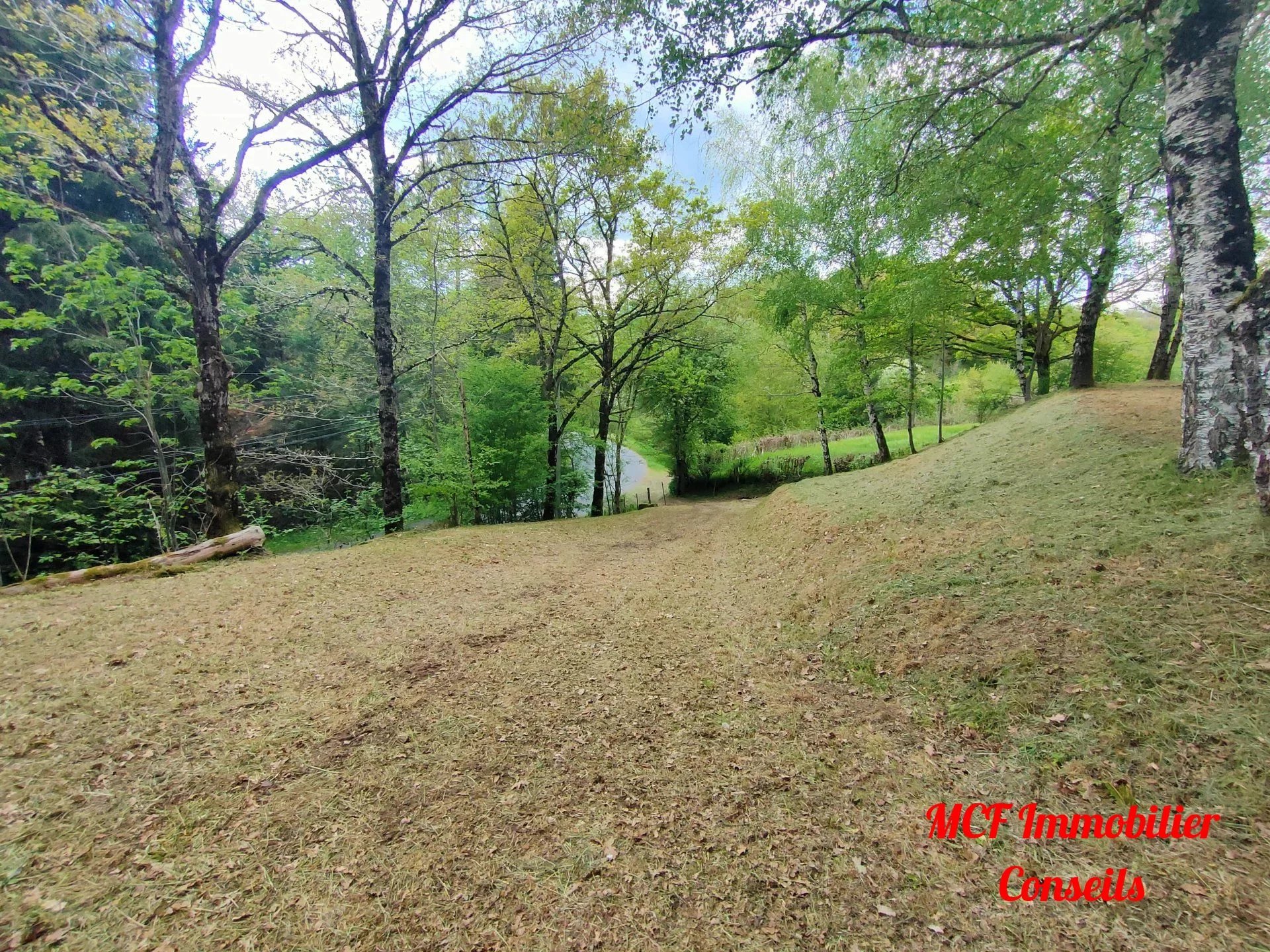 Agence immobilière de CAUMES DAVID