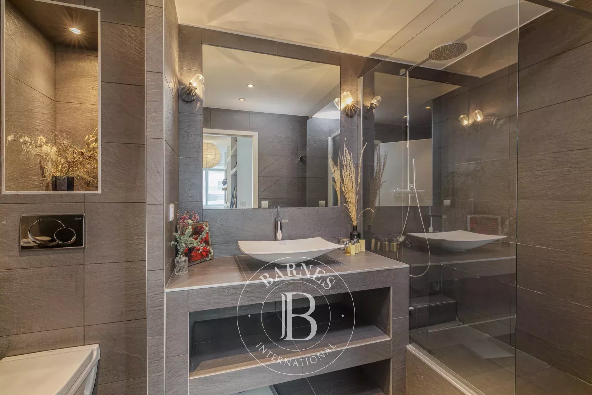 Daire Annemasse - picture 8