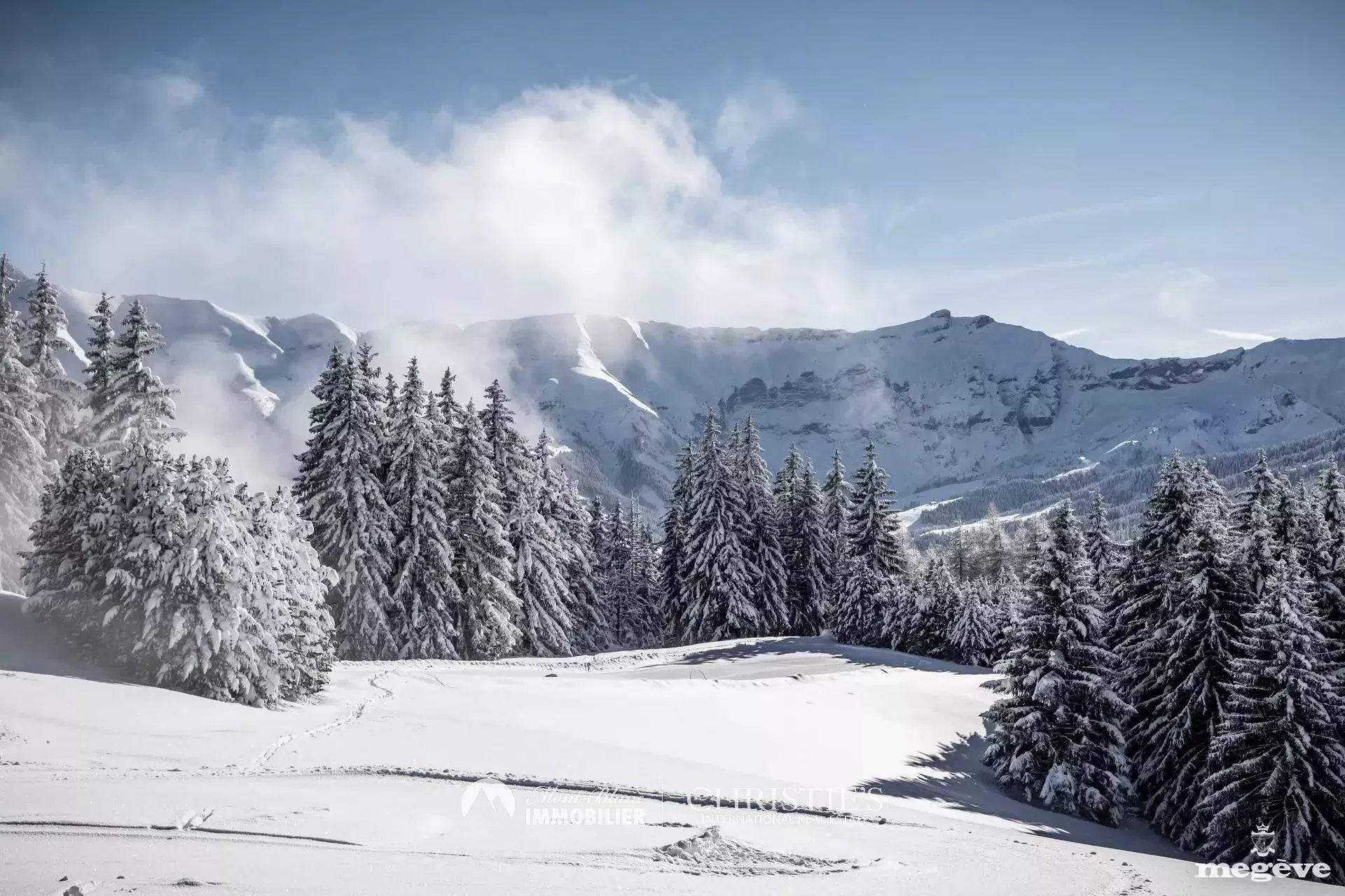 Agence immobilière de SAS MBI