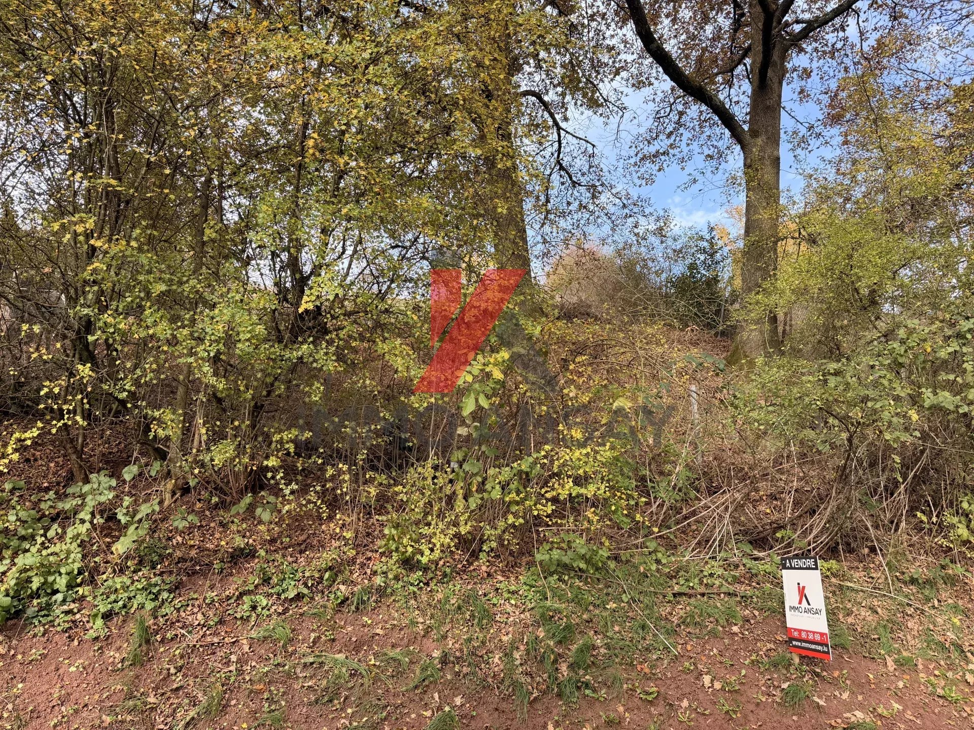 Verkauf Grundstück Bettendorf