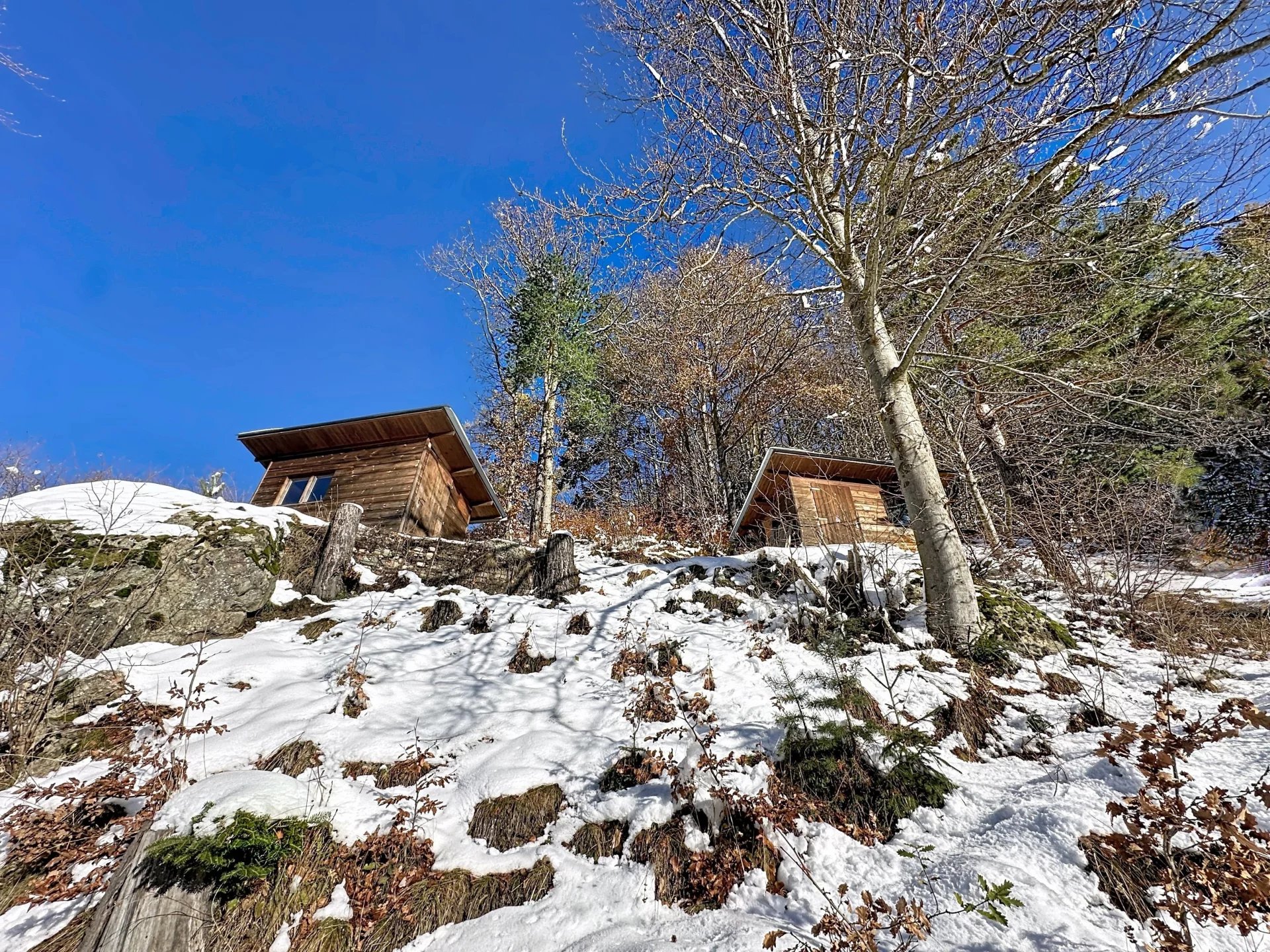 Vue panoramique sur le Mont-Blanc et la Cime de l'Est