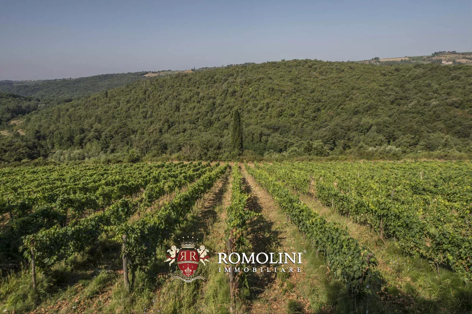 20 Bedroom Vineyard's Image 19