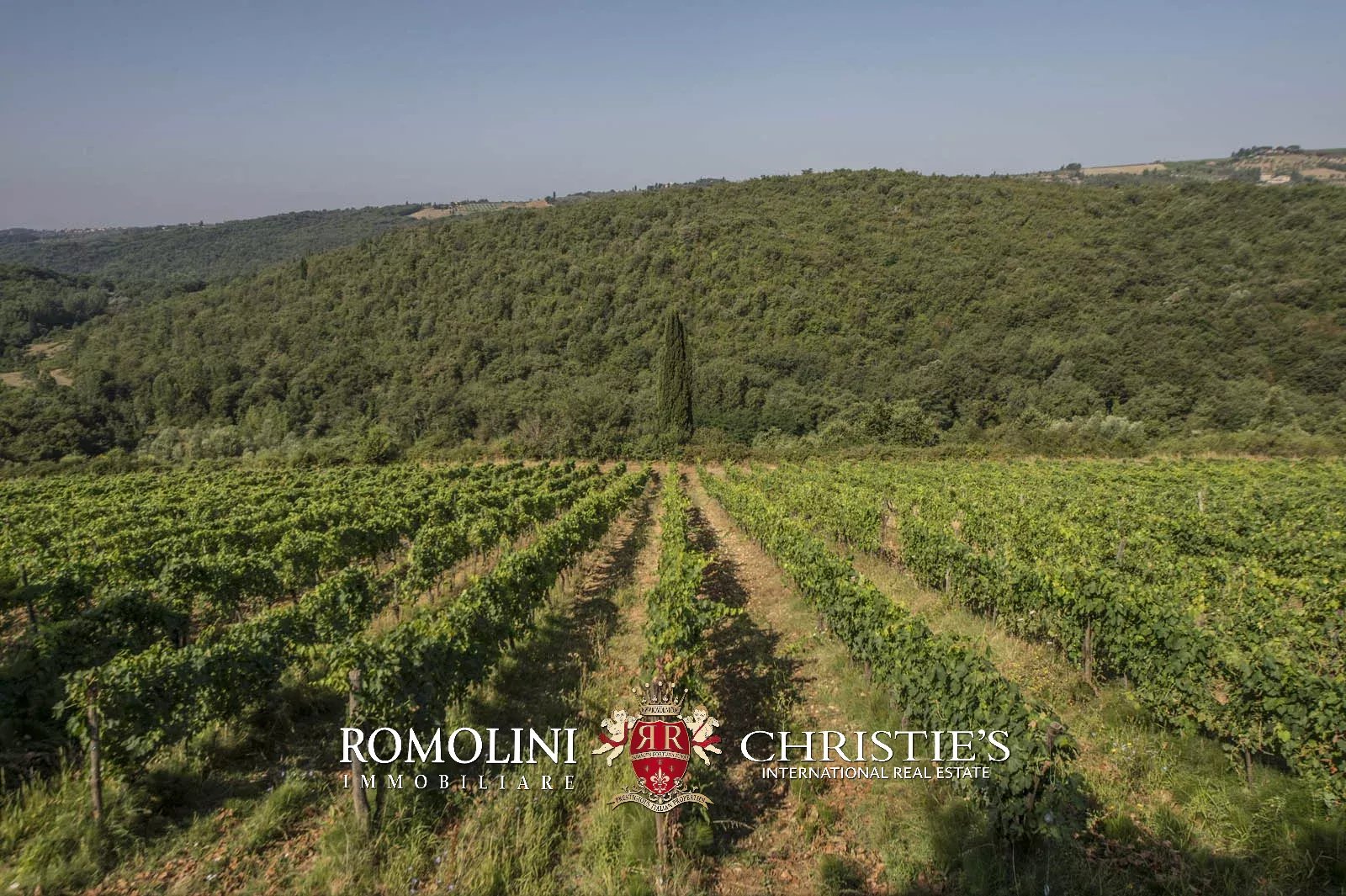 20 Bedroom Vineyard's Image 19