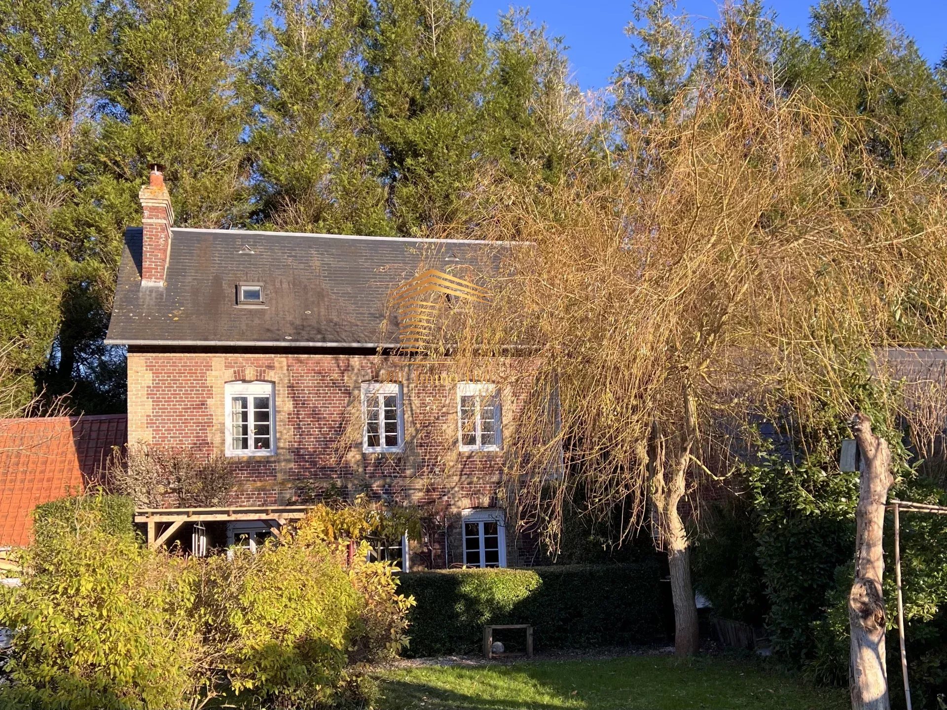 Agence immobilière de The Immo Times