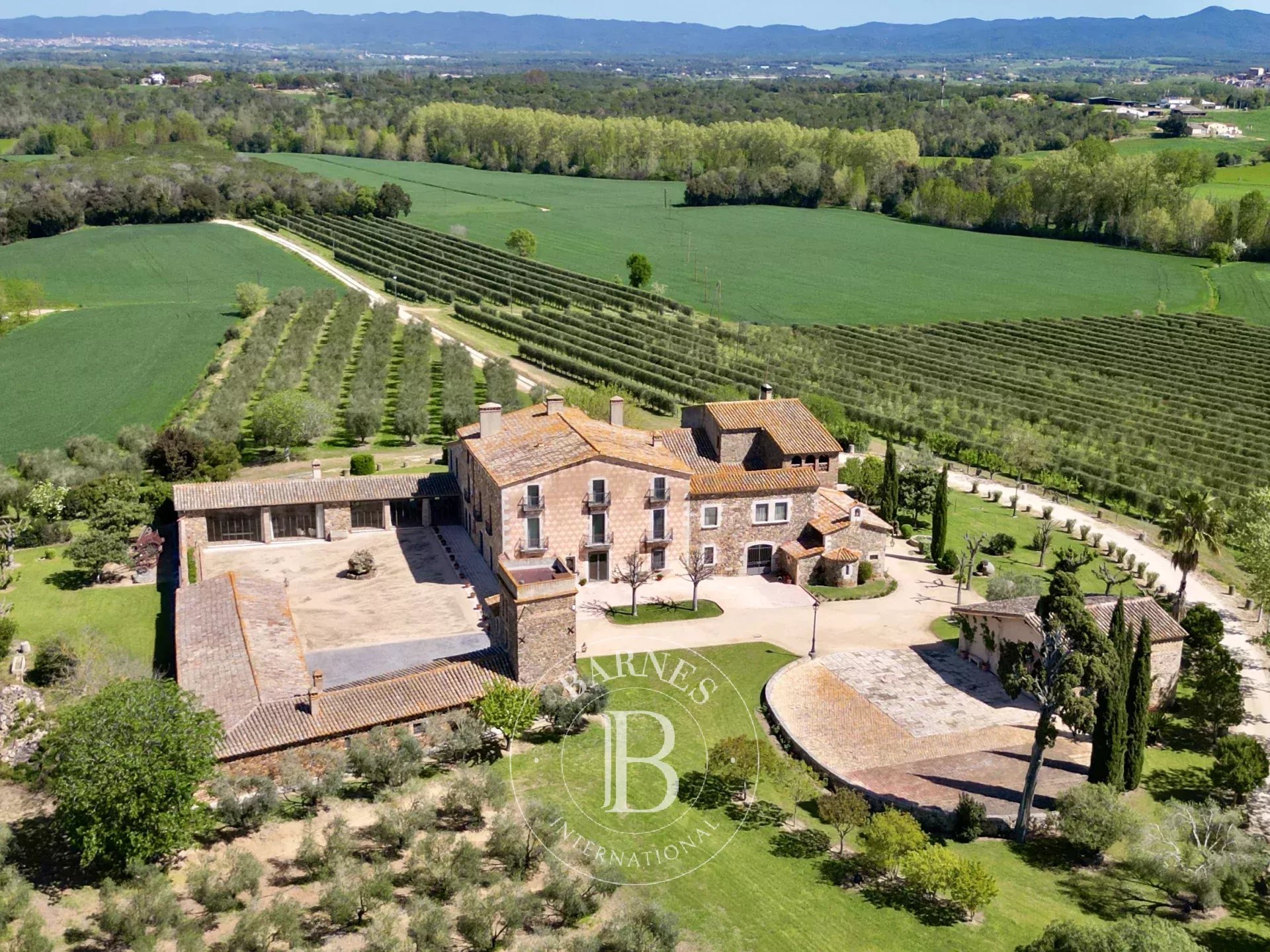 Çiftlik Llagostera - picture 23