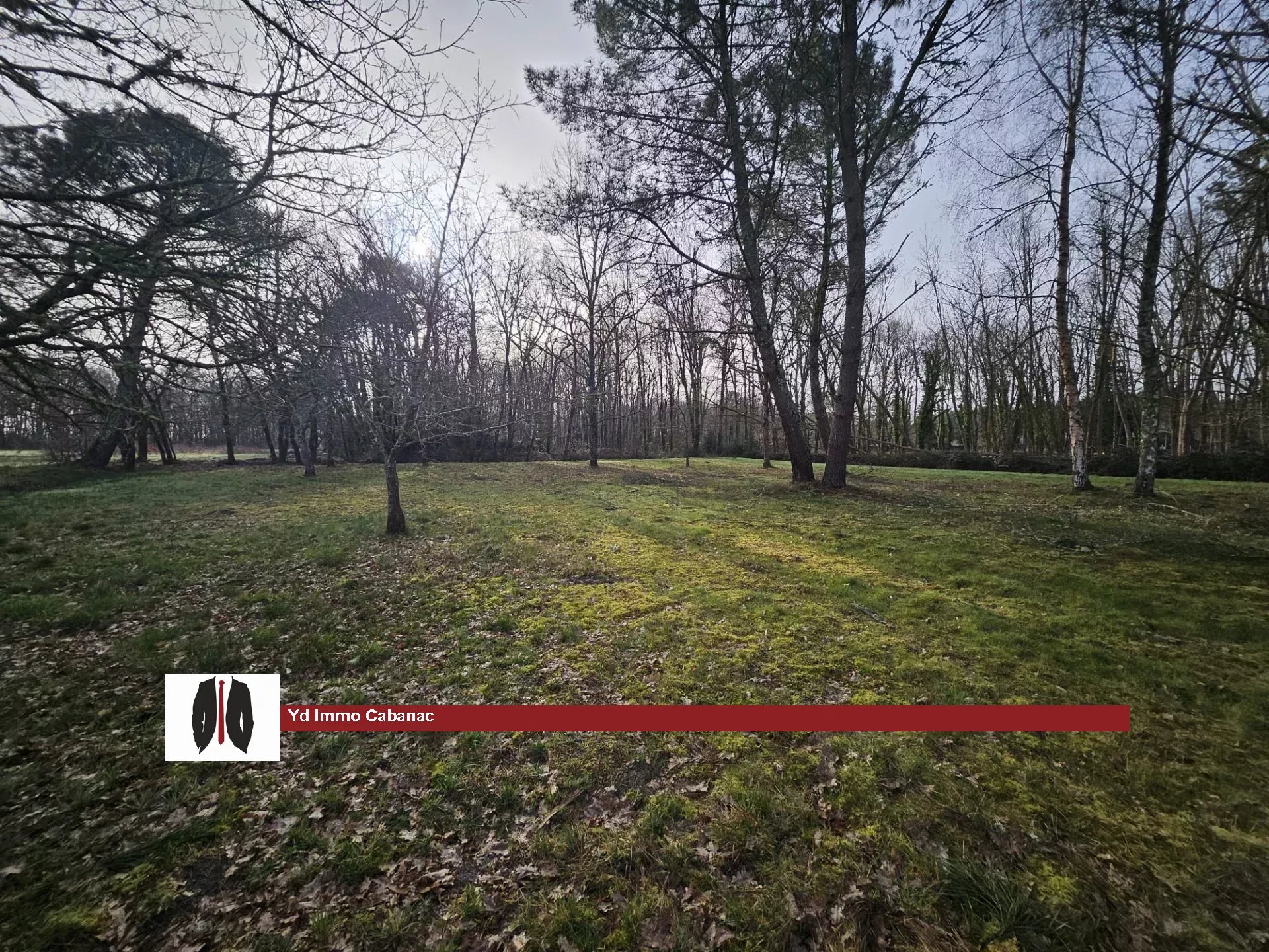 Agence immobilière de YD Immo