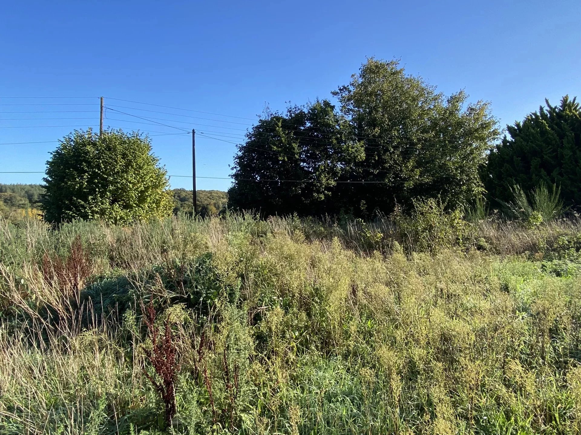Vente Terrain Grâces