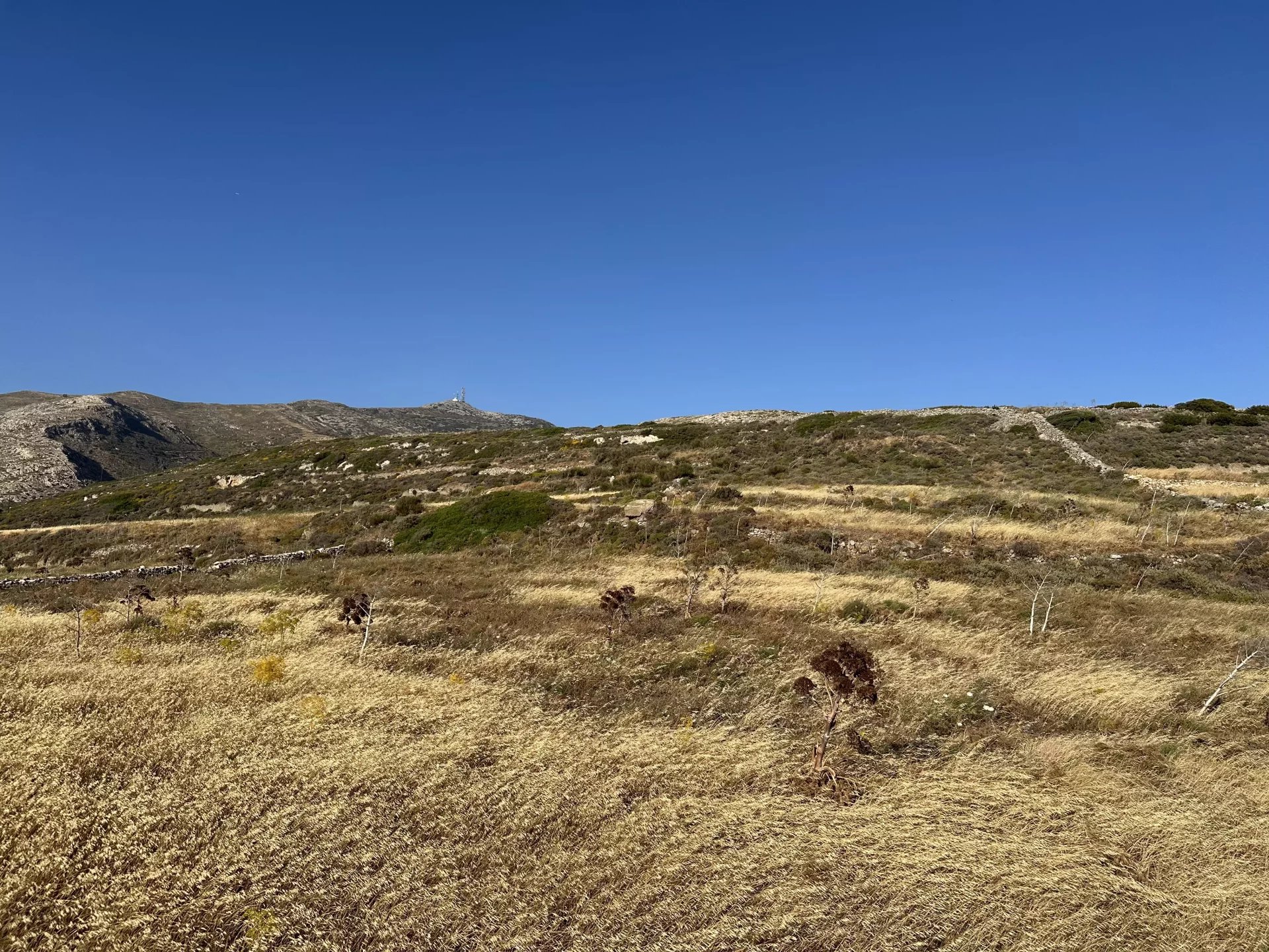 Εικόνα ιδιοκτησίας 9