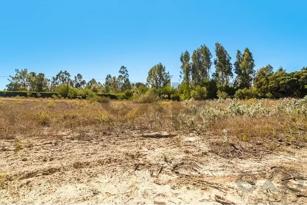 Unmissable Investment in Odemira 85507464 image 5