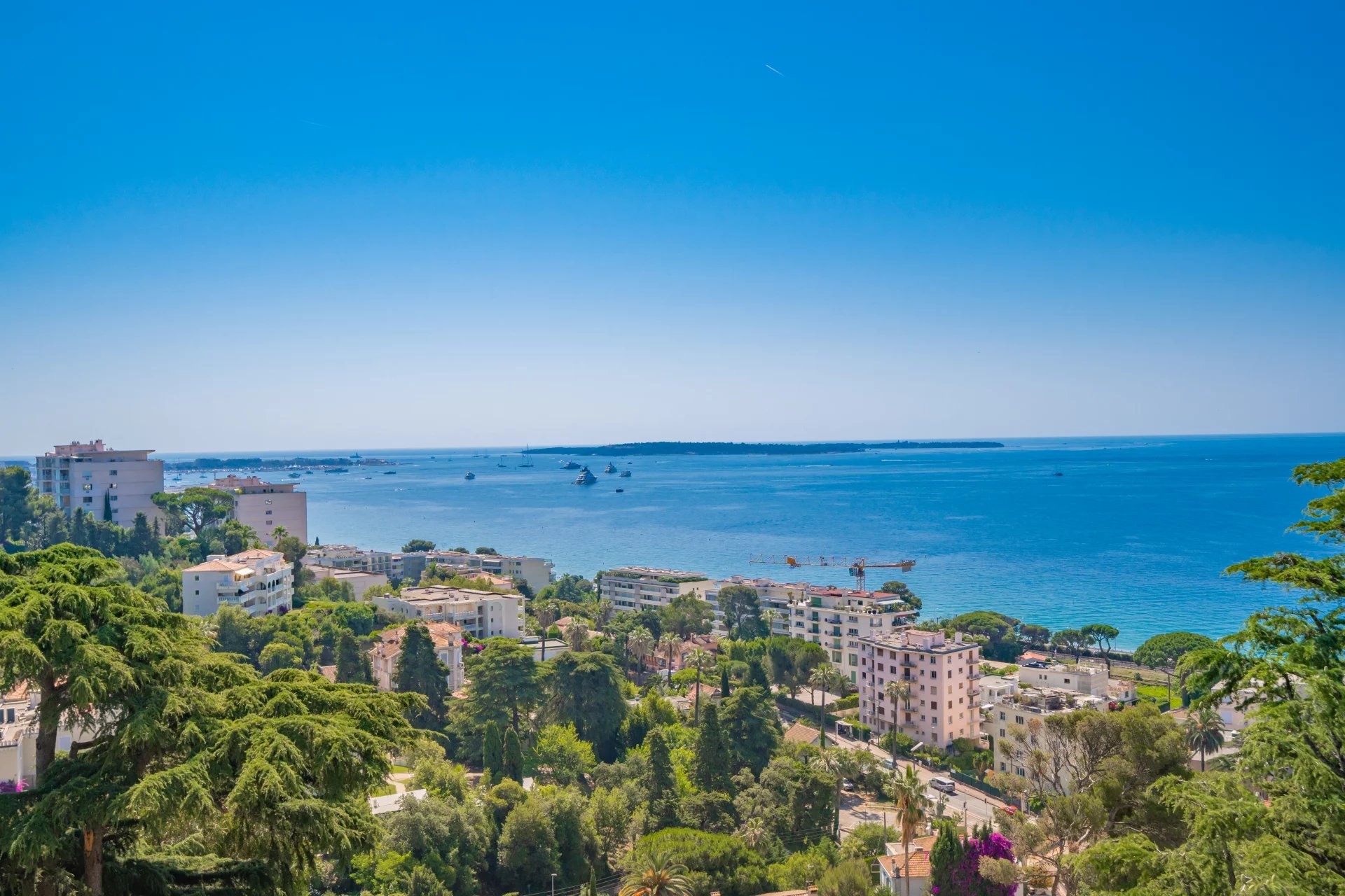 Agence immobilière de David Luxury Properties