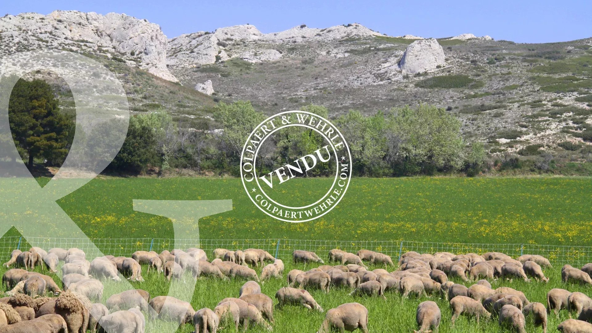Vente Terrain Paradou
